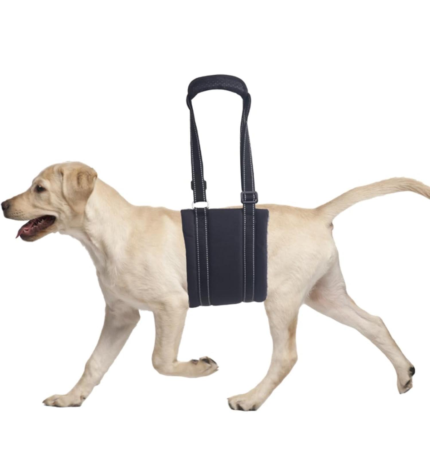 Comfpet Dog Back Leg Lift Aid | Portable Dog Sling for Medium Dogs | Perfect for Older Dogs & Ligament Rehabilitation - Buy Online on SooperMarket.com