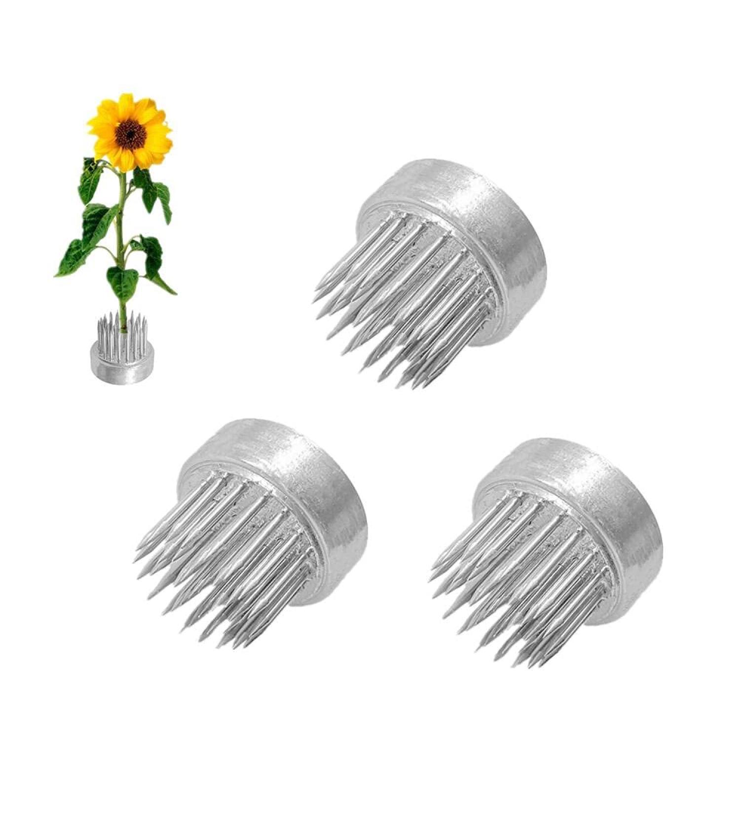 Kenzan Floral Frog 23mm Stainless Steel Pin Flower Arranger Holder for Small Vase (3Pcs) - Buy Online on SooperMarket.com