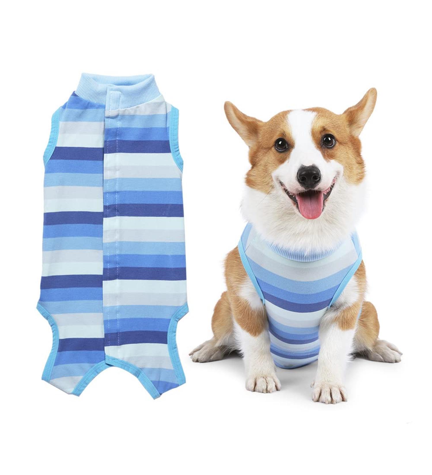 Newsbirds Dog Surgery Recovery Suit for Small Dogs - XL Blue | Post-Op Puppy Wound Protection - Buy Online on SooperMarket.com