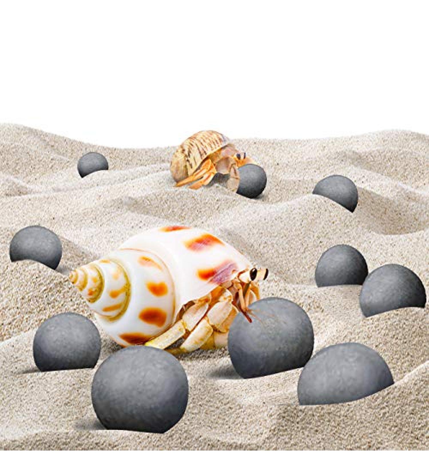 Sungrow 10 Hermit Crab & Crayfish Calcium Supplement Balls - 30+ Minerals for Molting Pets - Buy Online on SooperMarket.com
