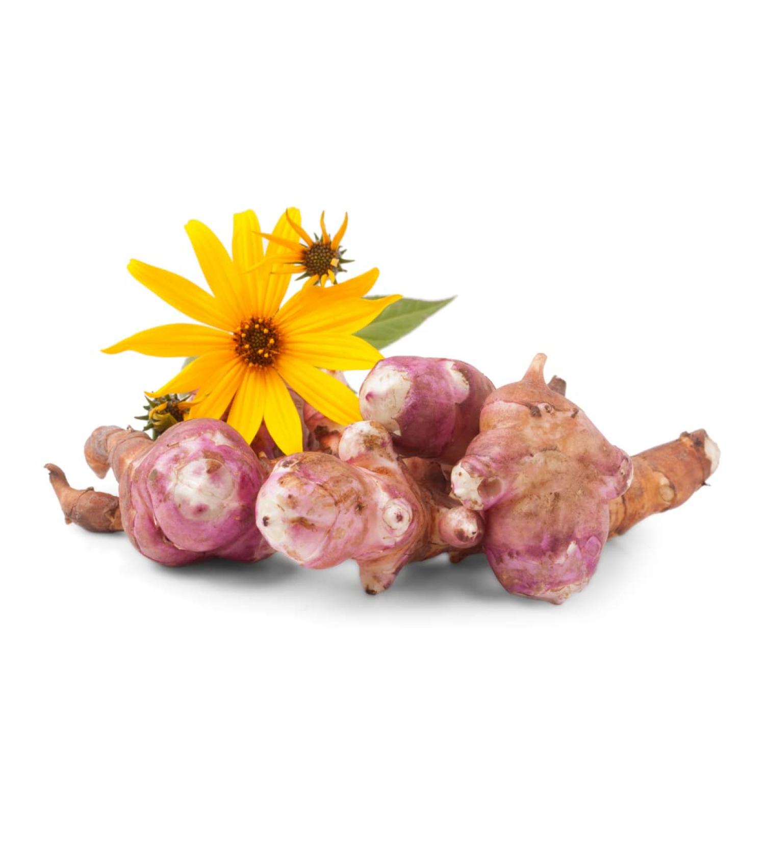 Buy Fresh Jerusalem Artichoke Tubers - 1000g | Premium Quality International Shipping - Buy Online on SooperMarket.com