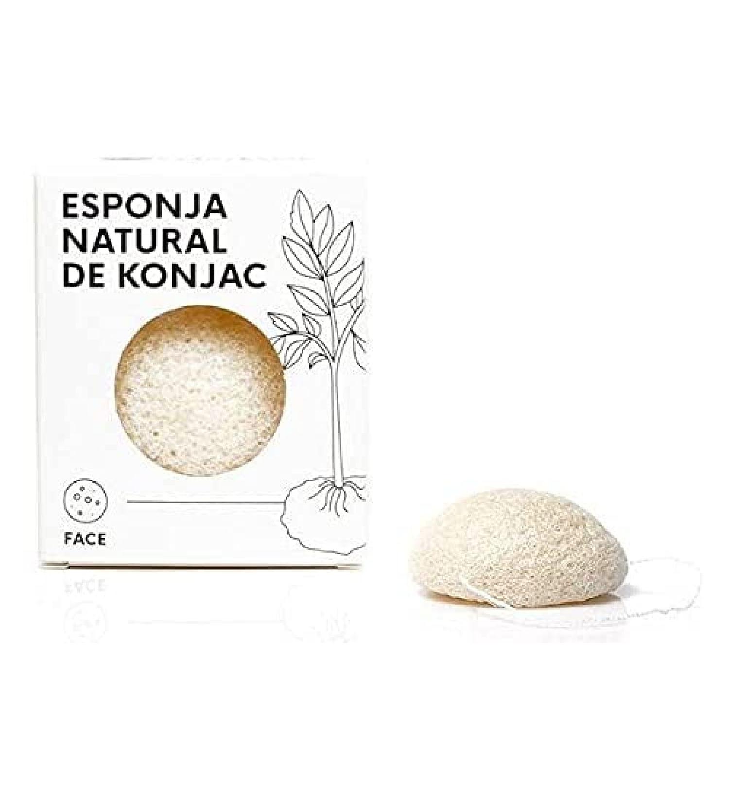 Esponja Konjac de Cara 1 PZ