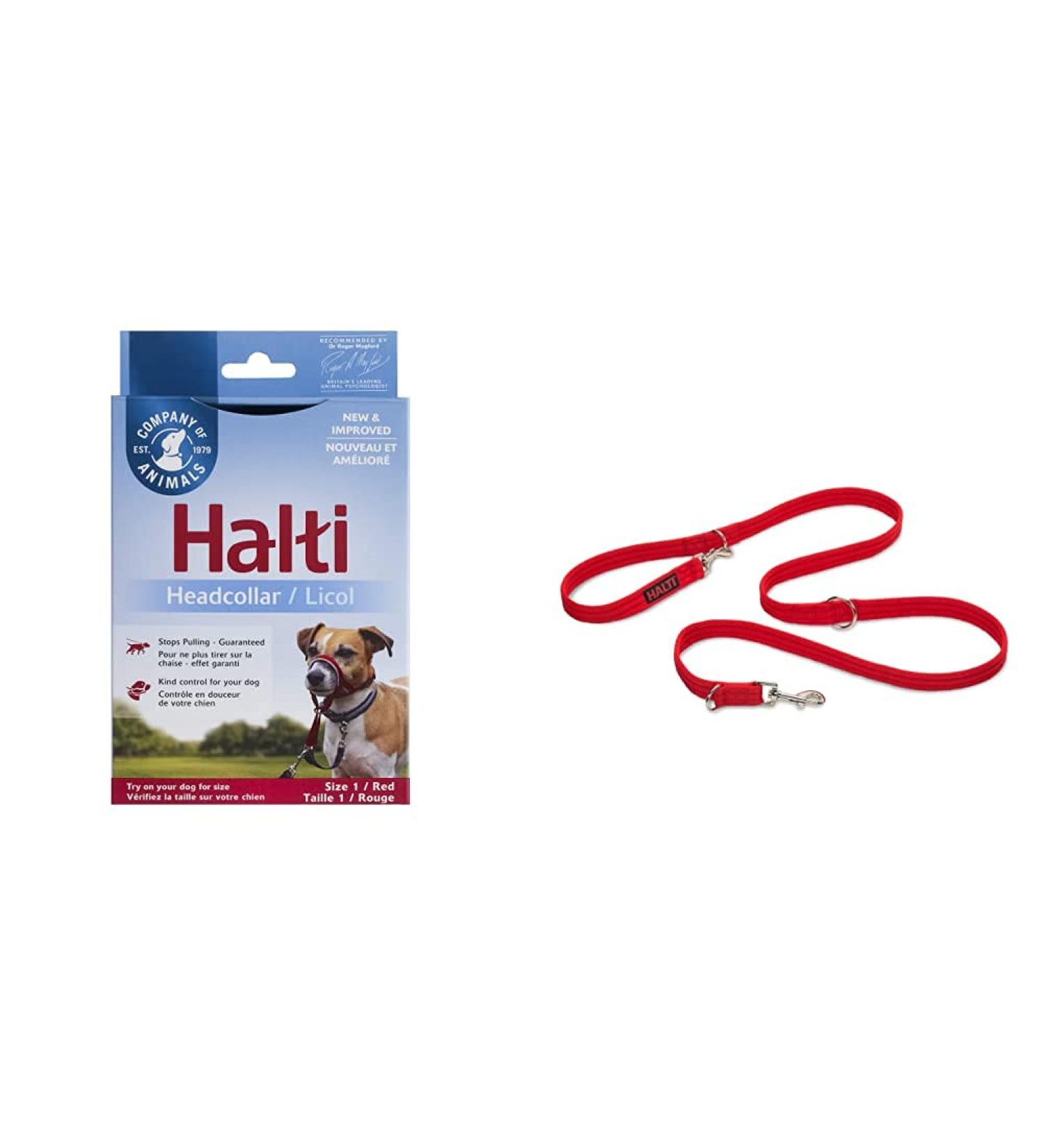 Company of Animals: Halti Headcollar & Double Ended Training Lead Pack suitable for Small Medium and Large dogs - Buy Online on SooperMarket.com
