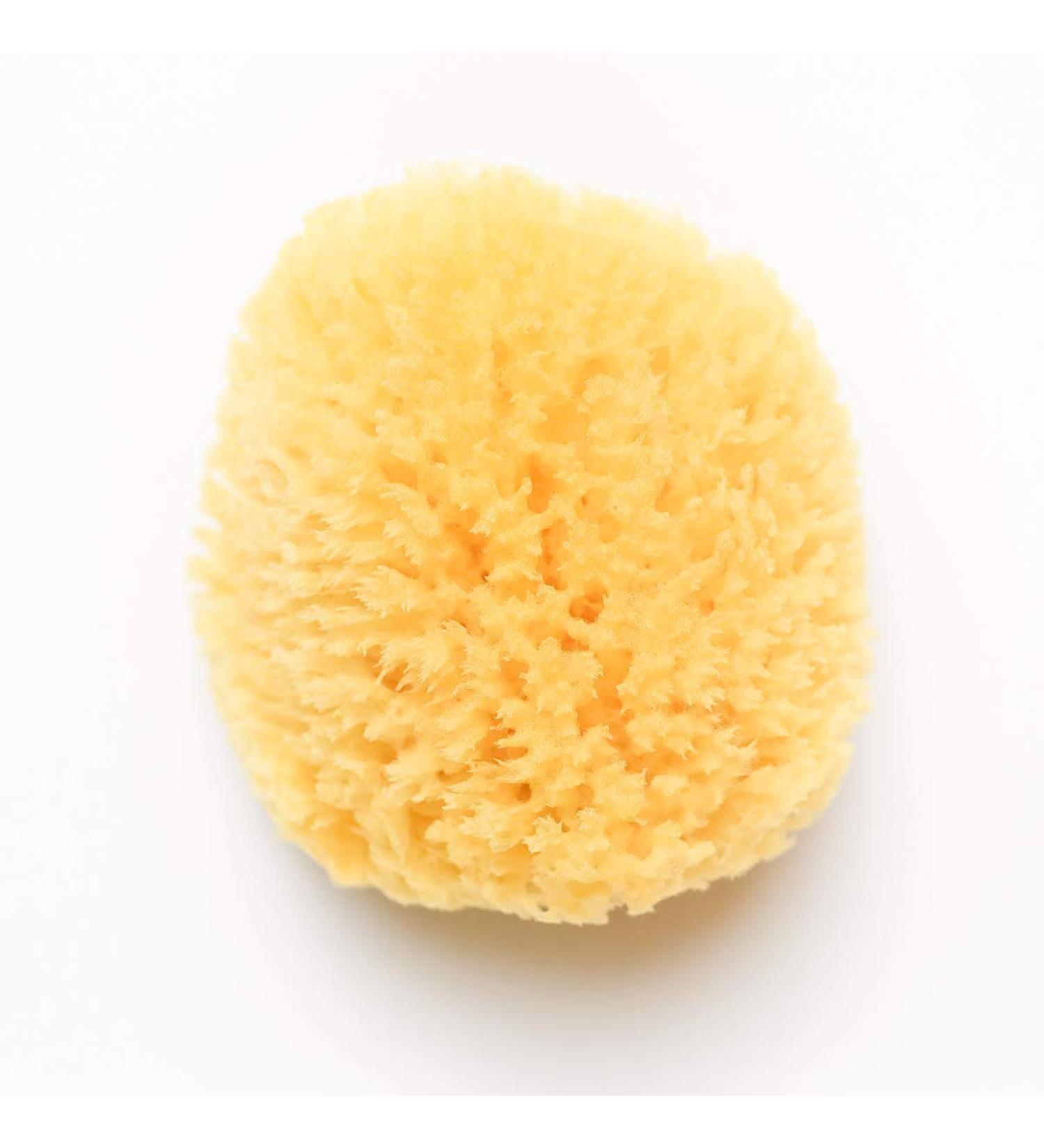 Kyte BABY Natural Sea Sponge 4-5 Inches | Gentle and Eco-Friendly Bath Sponge - Buy Online on SooperMarket.com