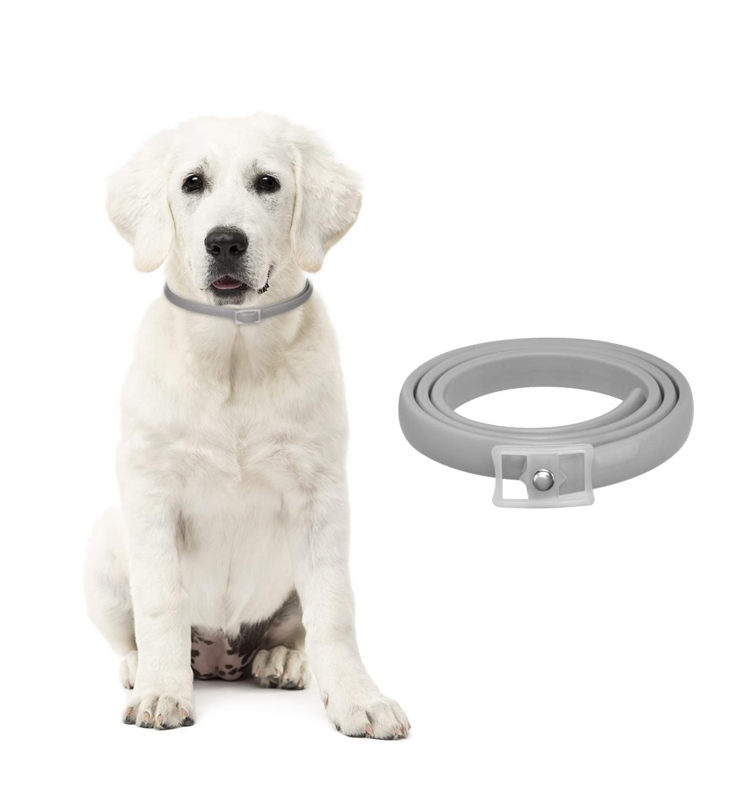 Dewel 63.5cm Waterproof Tick Collar for Dogs & Cats | Effective Flea & Tick Prevention | Adjustable Neck Band - Buy Online on SooperMarket.com