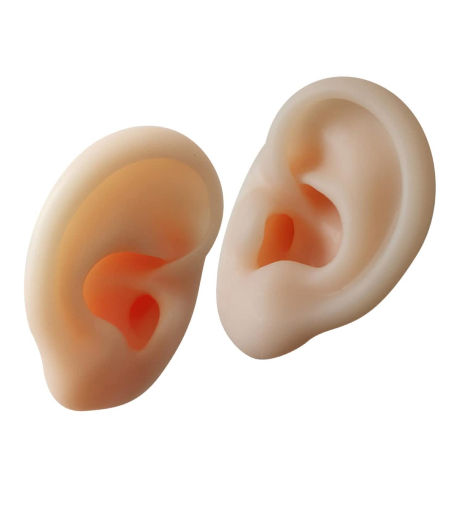 Silicone Ear Models for Ear Picking and Display - 1 Pair - Buy Online on SooperMarket.com