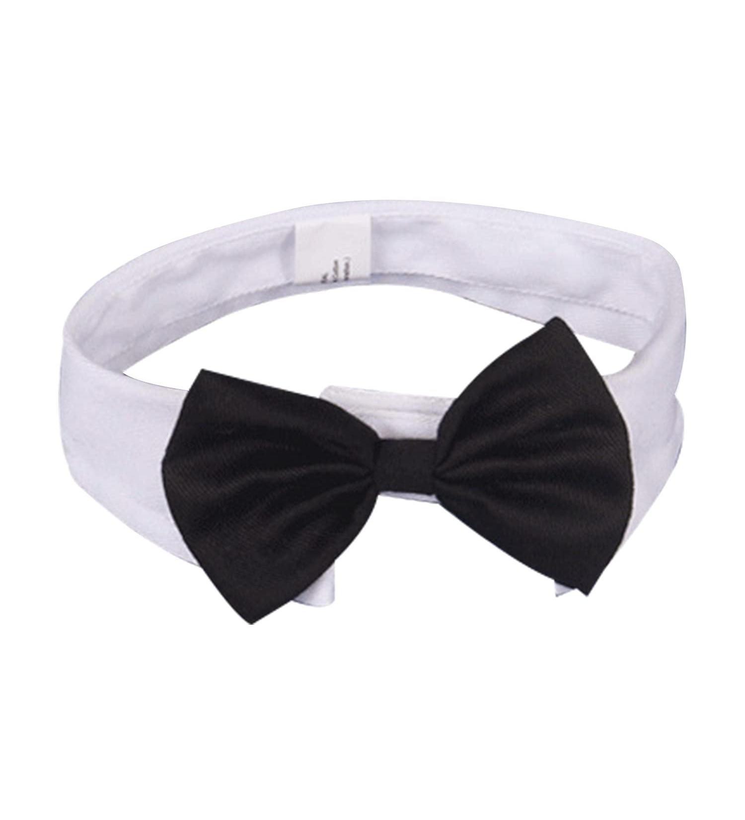 Formal Pets Bowtie Dog Cat Pets Adjustable Bow Tie and Collar Cats Puppy Grooming Ties Party Accessories Adjustable Pets Dog Cat Bow Tie Pet Costume Necktie Collar for Medium Large Boy Dog L (Pack of 1) - Buy Online on SooperMarket.com