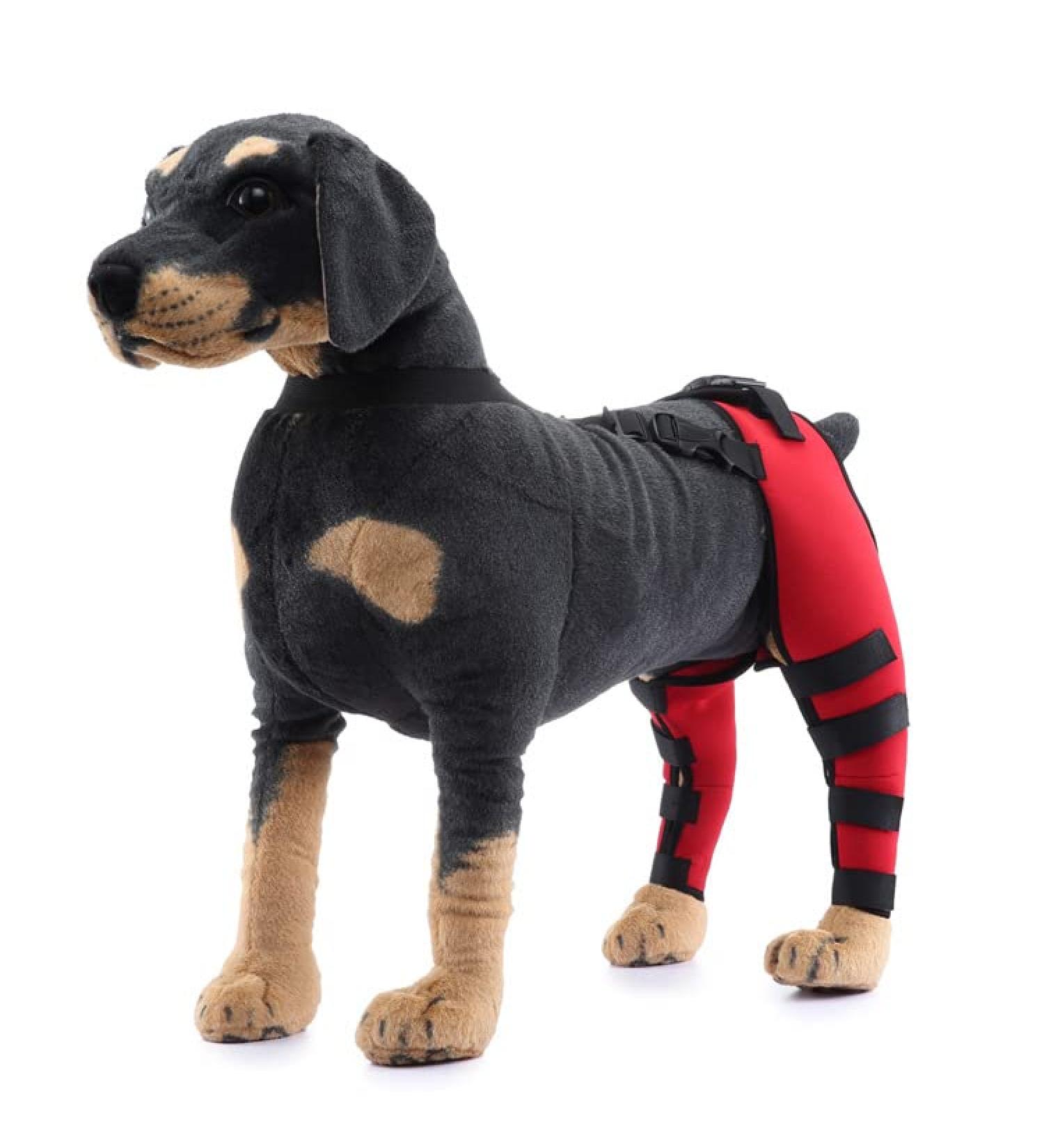Pet Dog Knee Brace ACL Brace for Dogs Rear Leg Dog Braces for Back Leg for Support for Heals Prevents Injuries Sprains Red Small Small Red - Buy Online on SooperMarket.com