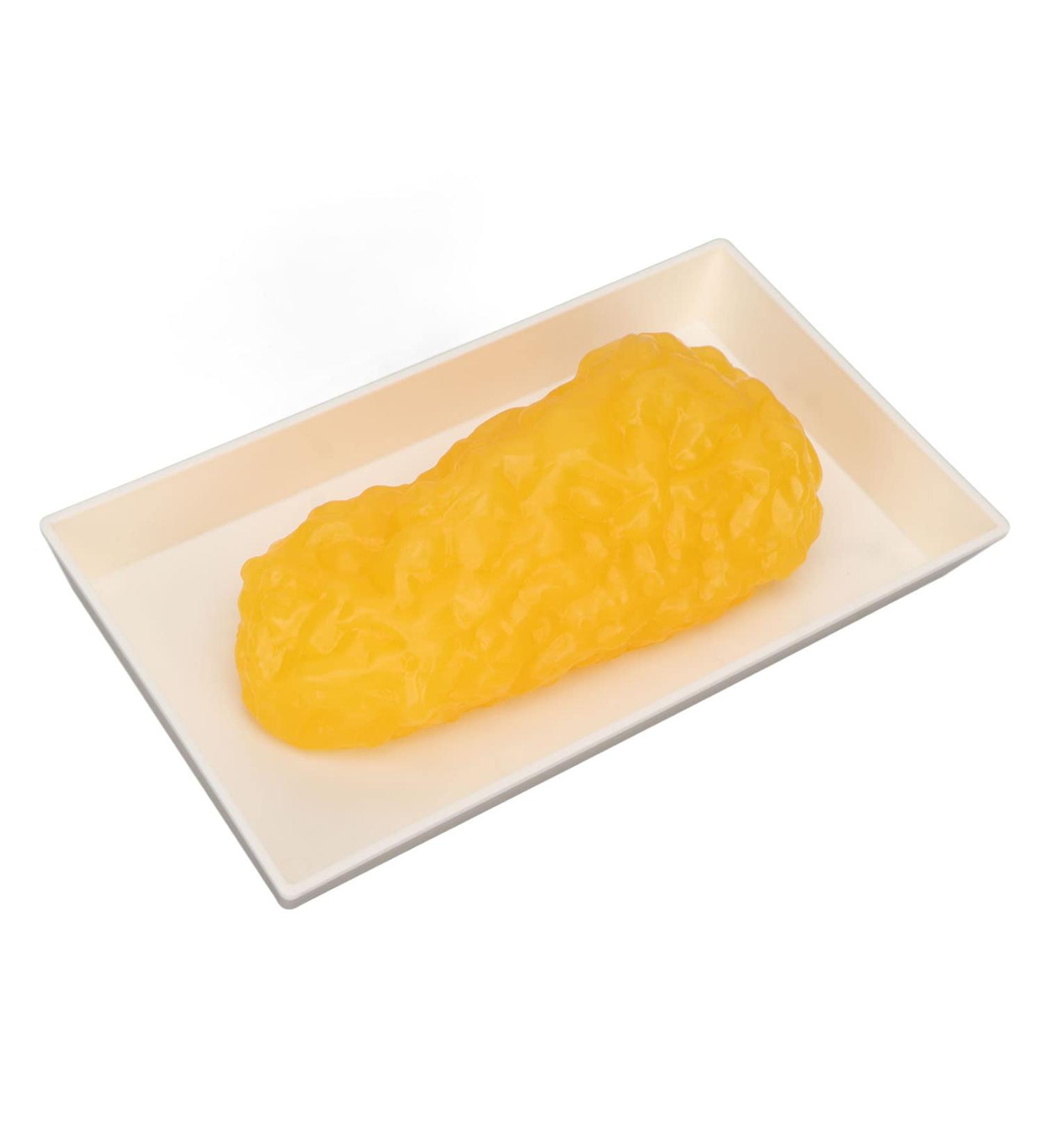 Fat Replica 1 Lb Real Soft Touch Fat Model A True Replica of Human Fatty Tissue for Anatomy Physiology Science Technology Students Nutritionists Doctor Dietitians - Buy Online on SooperMarket.com