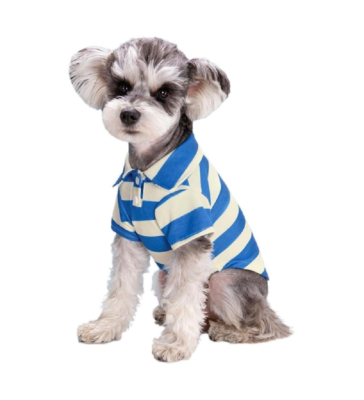 Stylish Blue Striped Polo Shirt for Small Dogs - Breathable Summer Costume for Bichon & French Bulldogs - 2X Large Puppy Fashion - Buy Online on SooperMarket.com