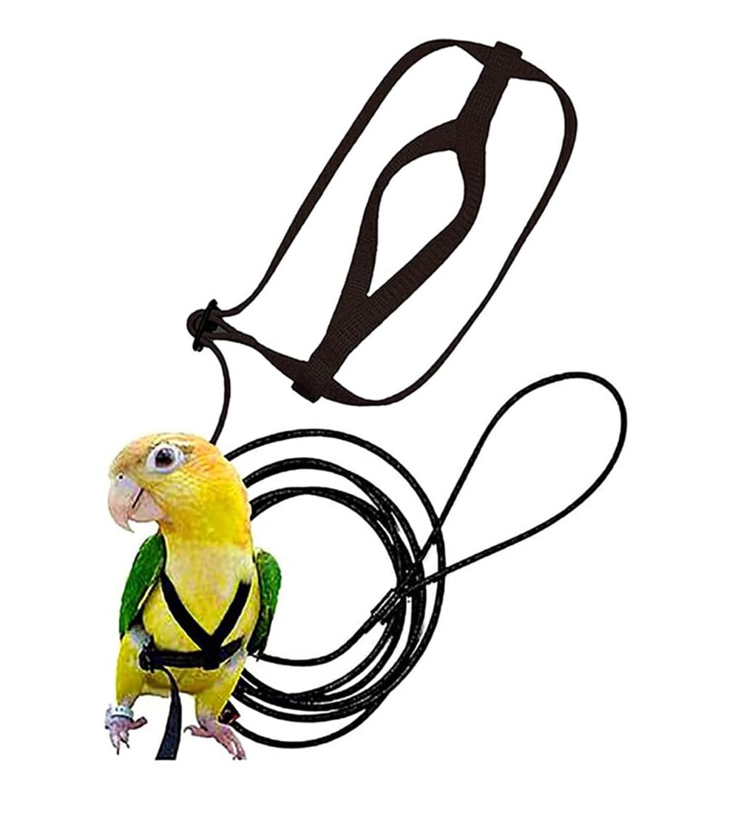 Vreplrse Adjustable Bird Flight Dishes & Easy-to-Wear Parrot Leash - Perfect Gift for Parrot Owners | International Shipping - Buy Online on SooperMarket.com