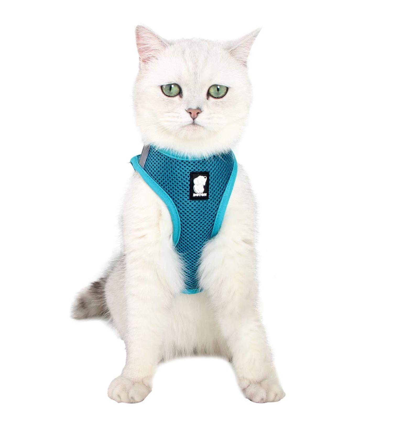 Ultra-Light Adjustable Cat Dishes & Soft Padded Running Vest for Kittens & Puppies - Escape Protection Turquoise - Buy Online on SooperMarket.com
