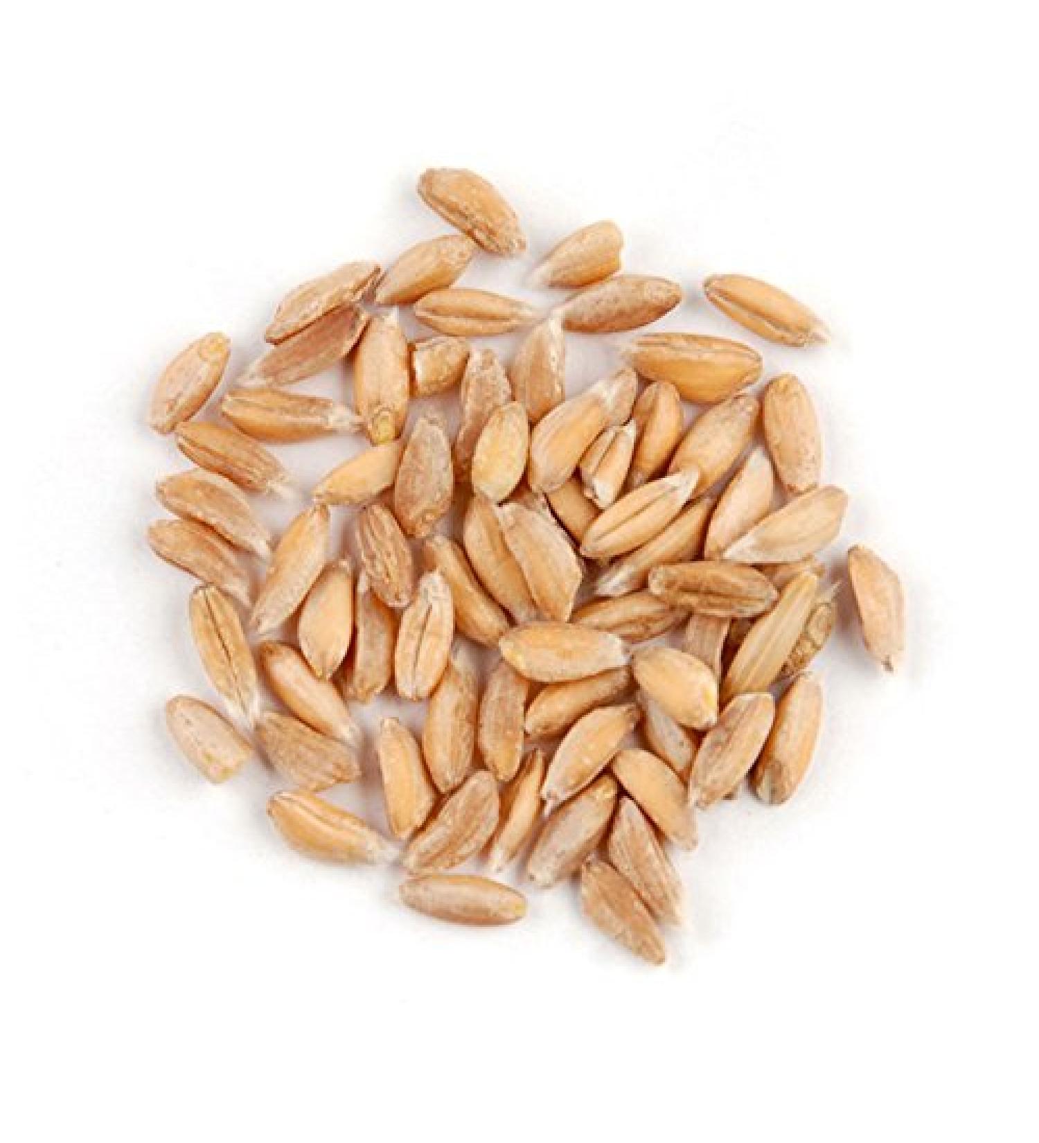 Farro  10 Lb Bag - Buy Online on SooperMarket.com