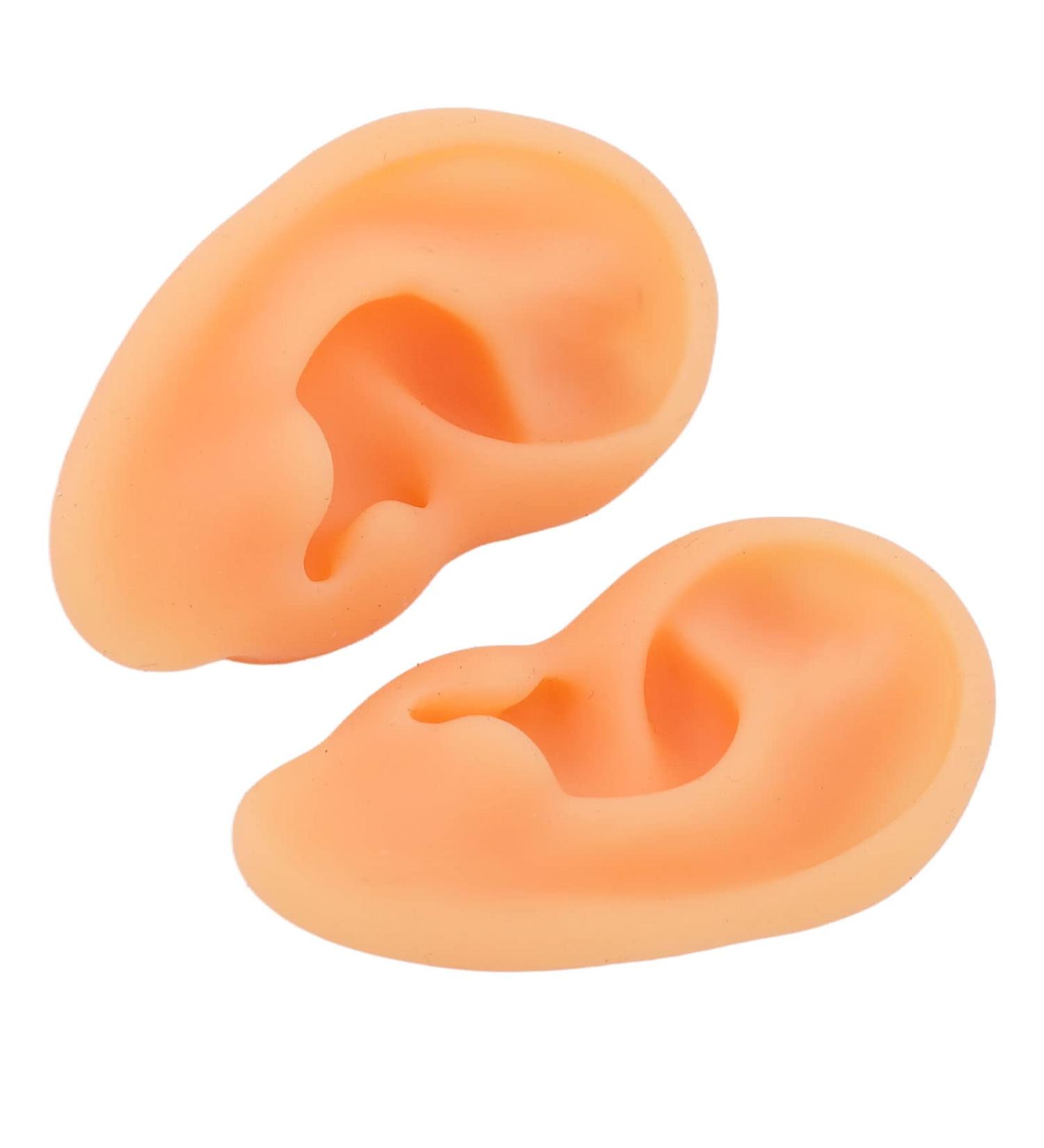 Kadimendium Human Ear Acupuncture Model - 2 Pieces for Training - Buy Online on SooperMarket.com