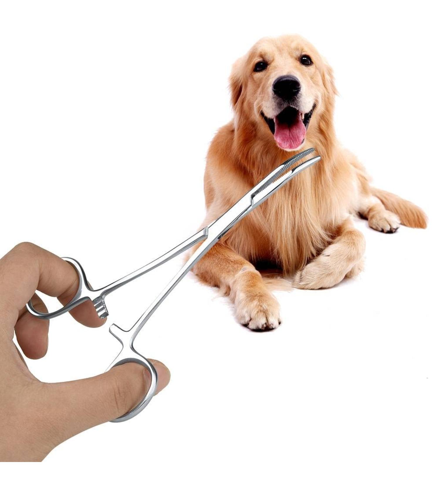 Pet Ear Locking Forceps Dog Ear Hair Puller Pet Groomers Scissor Dog Grooming Locking Tweezers Good Strong Animal Care Pet Groomers Tool(L) - Buy Online on SooperMarket.com