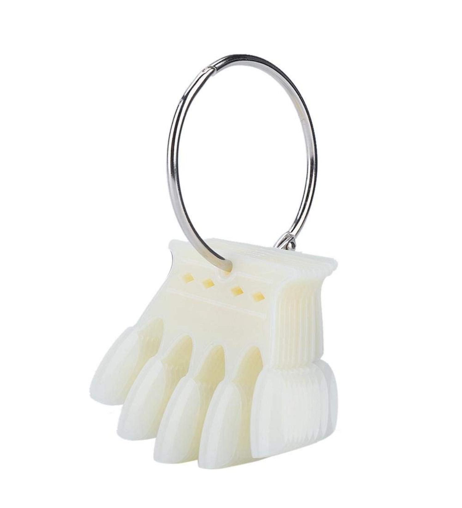 Plastic Nail Art Accessories - 2 Kinds Nail Color Card for Professional Nail Salon | Practice Skills in Natural Colors - Buy Online on SooperMarket.com