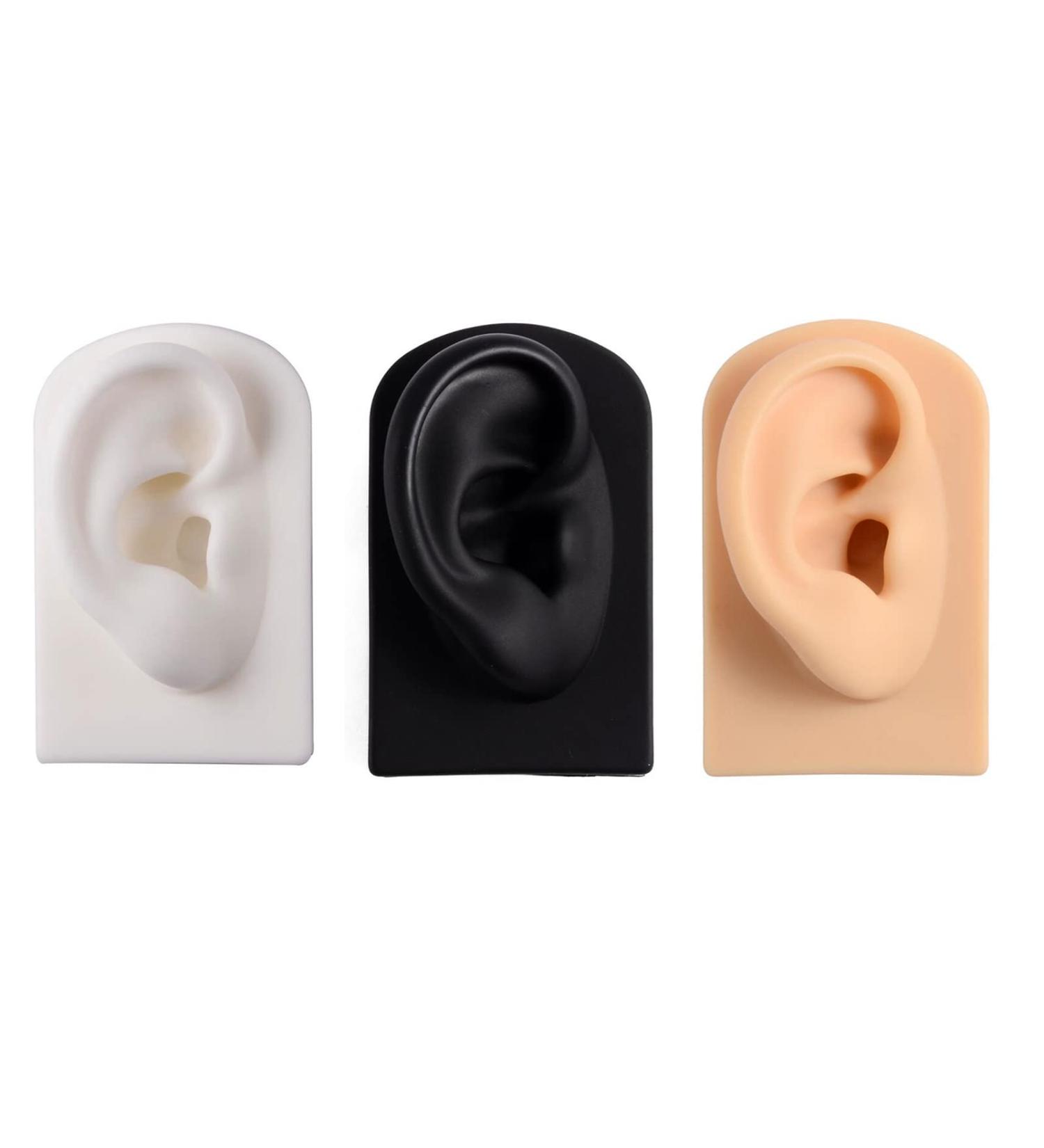 3 Pc Silicone Ear Model - Simulation Artificial Ear Model - for Hearing Aids Wearing & Ear Canal Products Display Right - Buy Online on SooperMarket.com