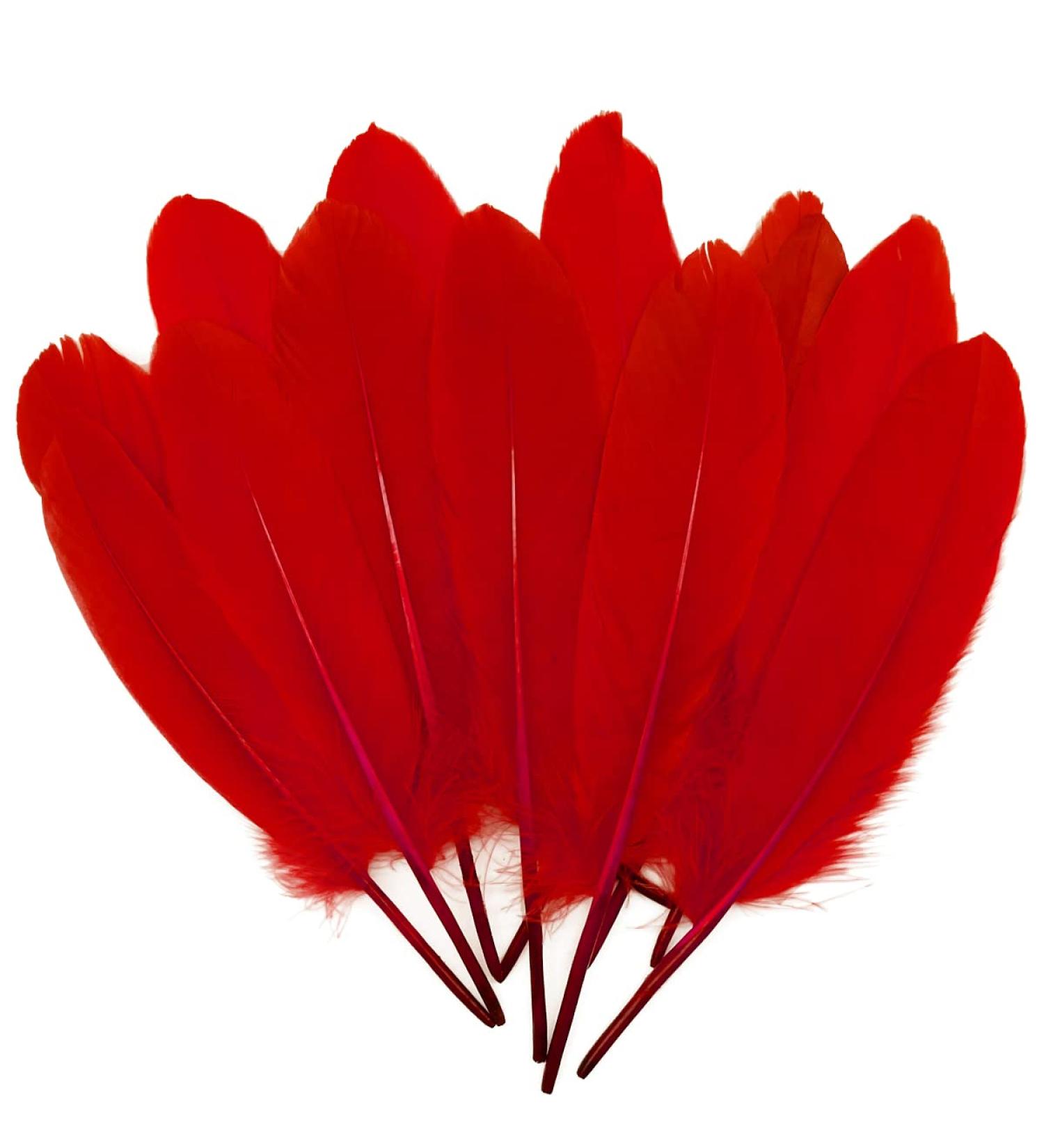 100pcs Red Goose Feathers 6-8 Inch - Ideal for Crafts, Wedding Decor, Clothing Accessories - Buy Online on SooperMarket.com