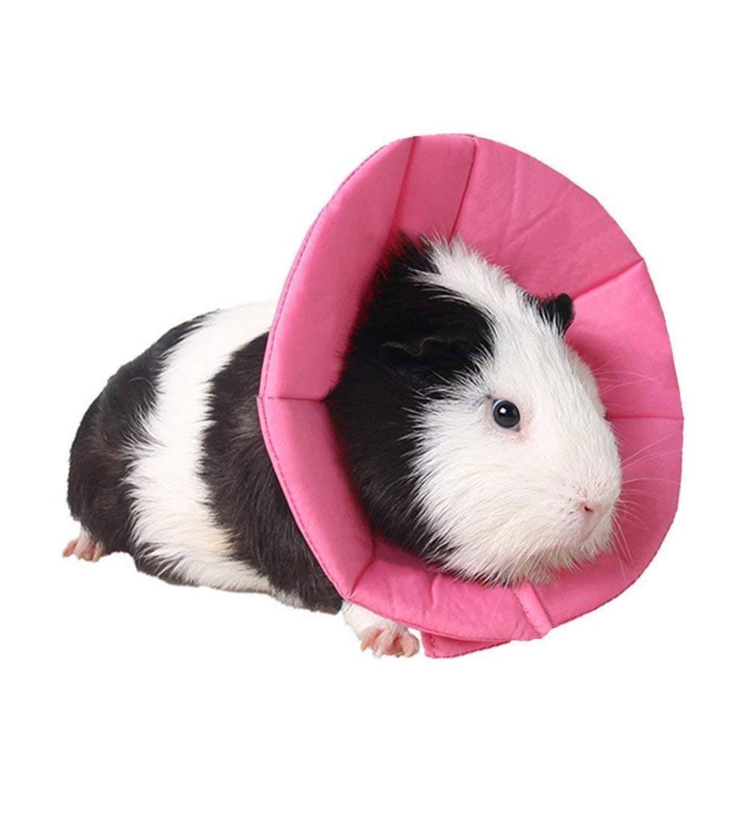 NashaFeiLi Elizabethan Pet Collar for Hamster & Chinchillas - Adjustable Comfortable Size S in Pink & Rose - Perfect for Small Pets - Buy Online on SooperMarket.com