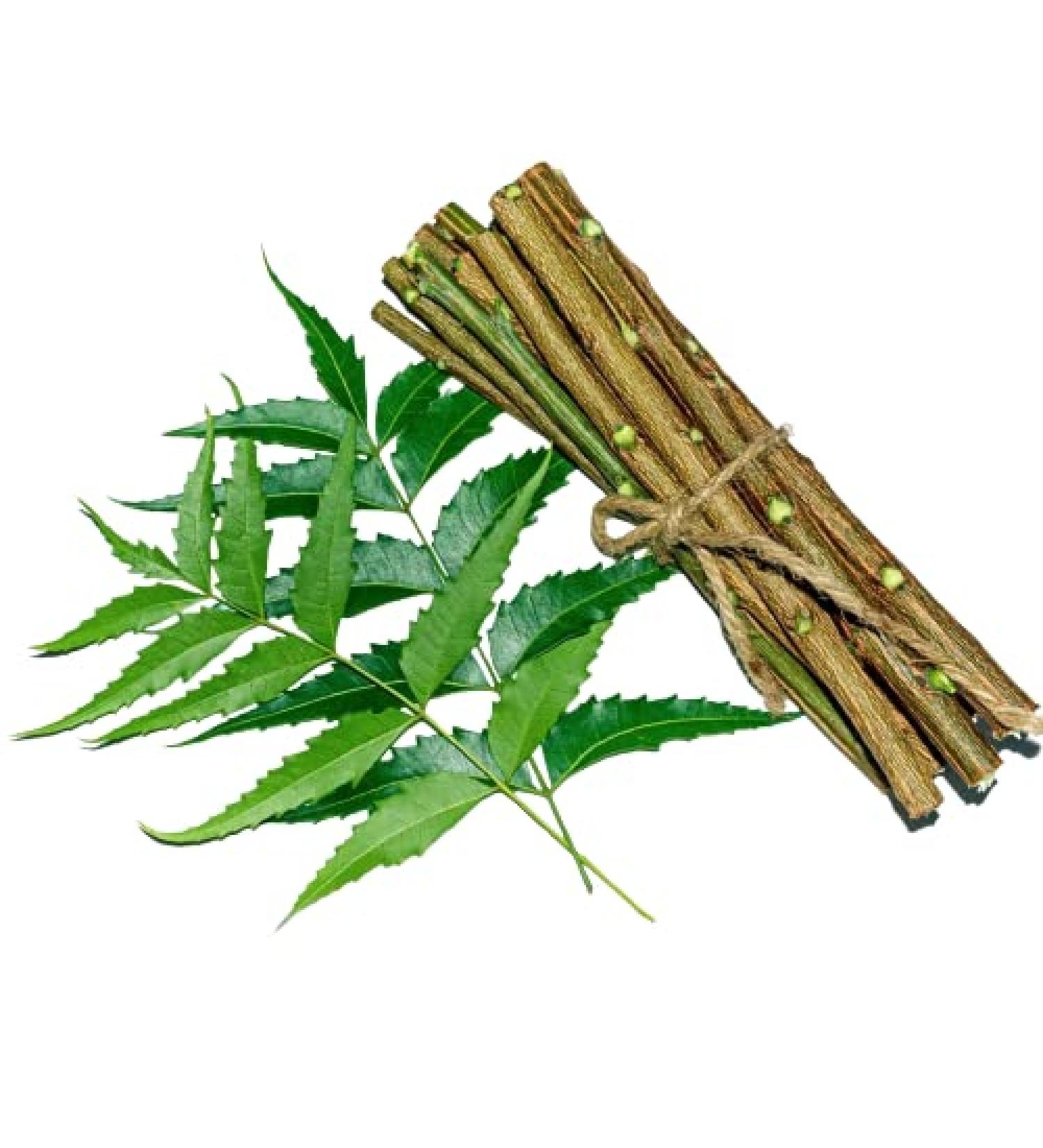 OMC Organic Neem Stick Datun Brush 10pcs - Natural Oral Care for Strong Teeth and No Germs - Buy Online on SooperMarket.com