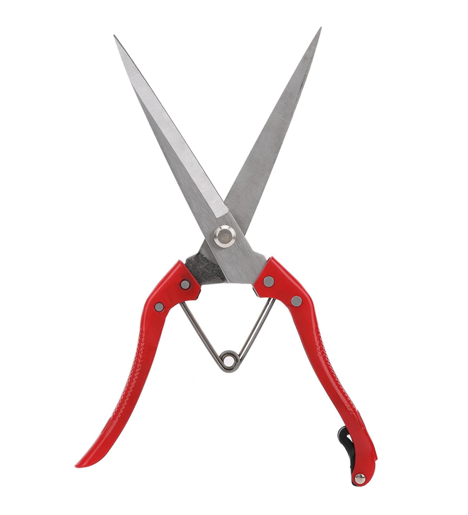 Hztyyier Mane & Wool Scissors for Cattle Horses Sheep & Goats - Premium Hair Cutting Tools | International Shipping - Buy Online on SooperMarket.com