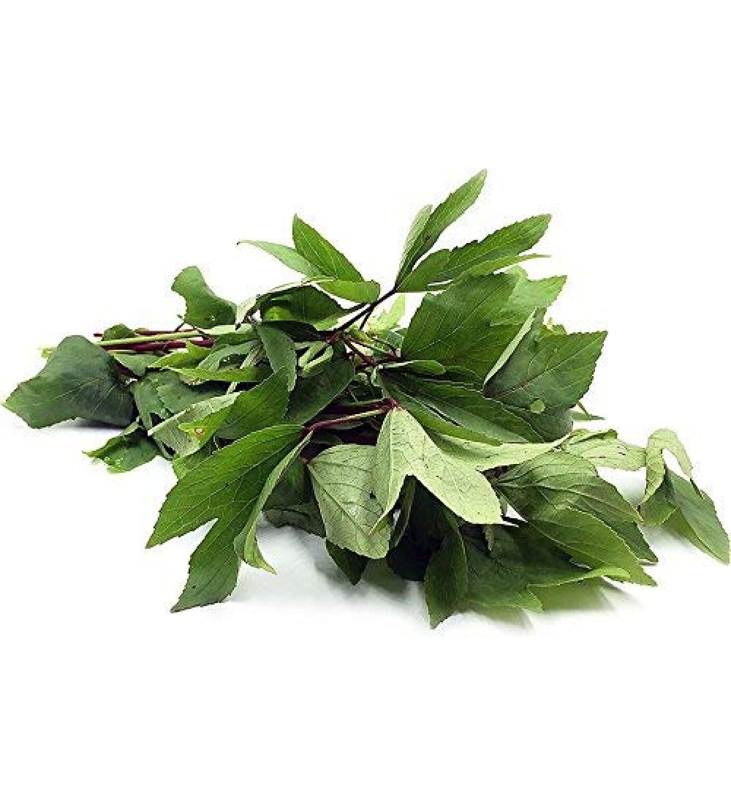 Fresh Gongura leaves Bunch | Single Bunch | Vegetarian | Puntikura Leaf | Pulicha Keerai | Fresh Gongura leaves | High Source | Indian Origin | Approx 200G - Buy Online on SooperMarket.com