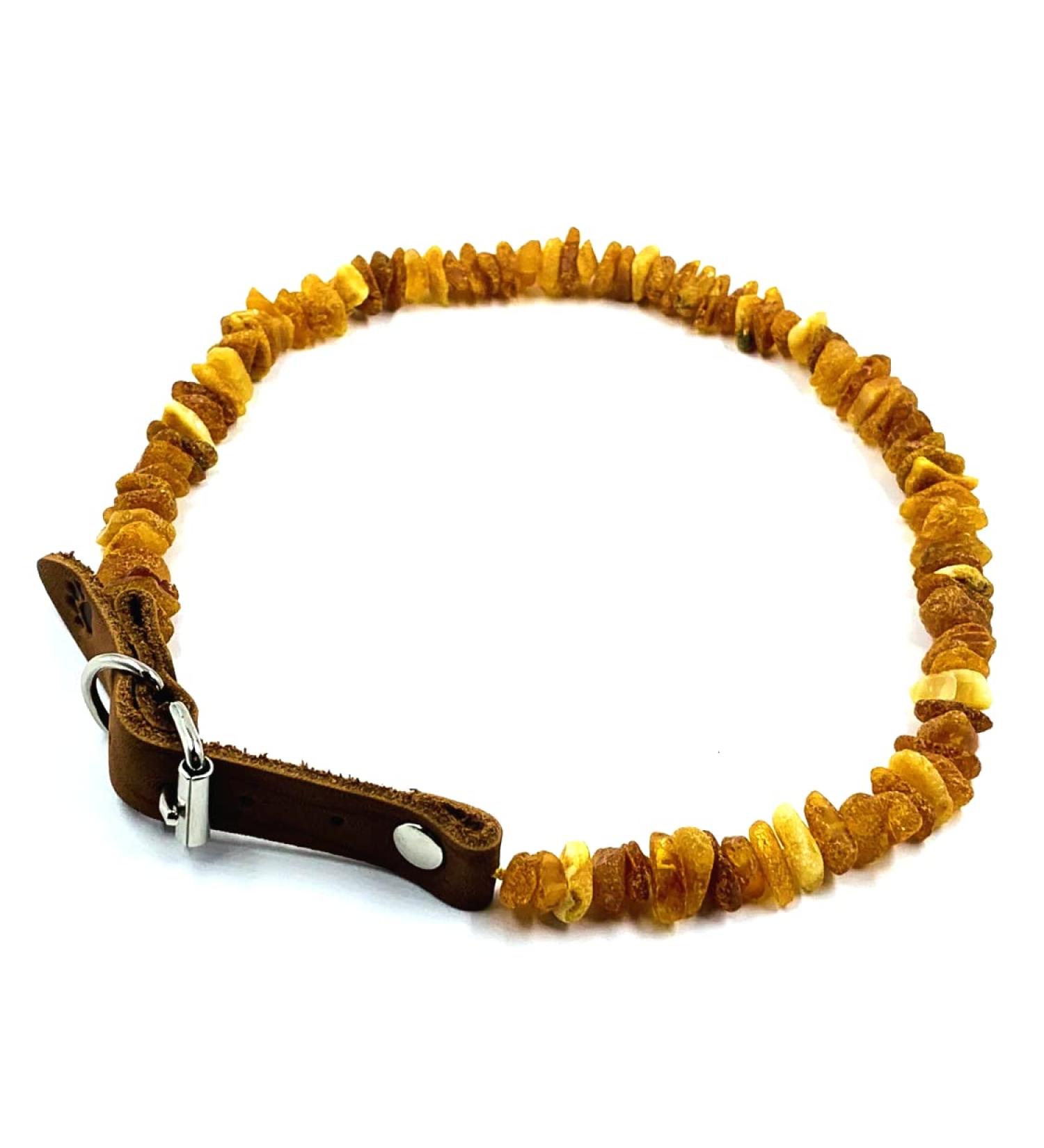Amber Jewelry Shop Amber Necklace for Dogs Amber Collar for Dogs Natural Baltic Amber Beads 35-40 - Buy Online on SooperMarket.com