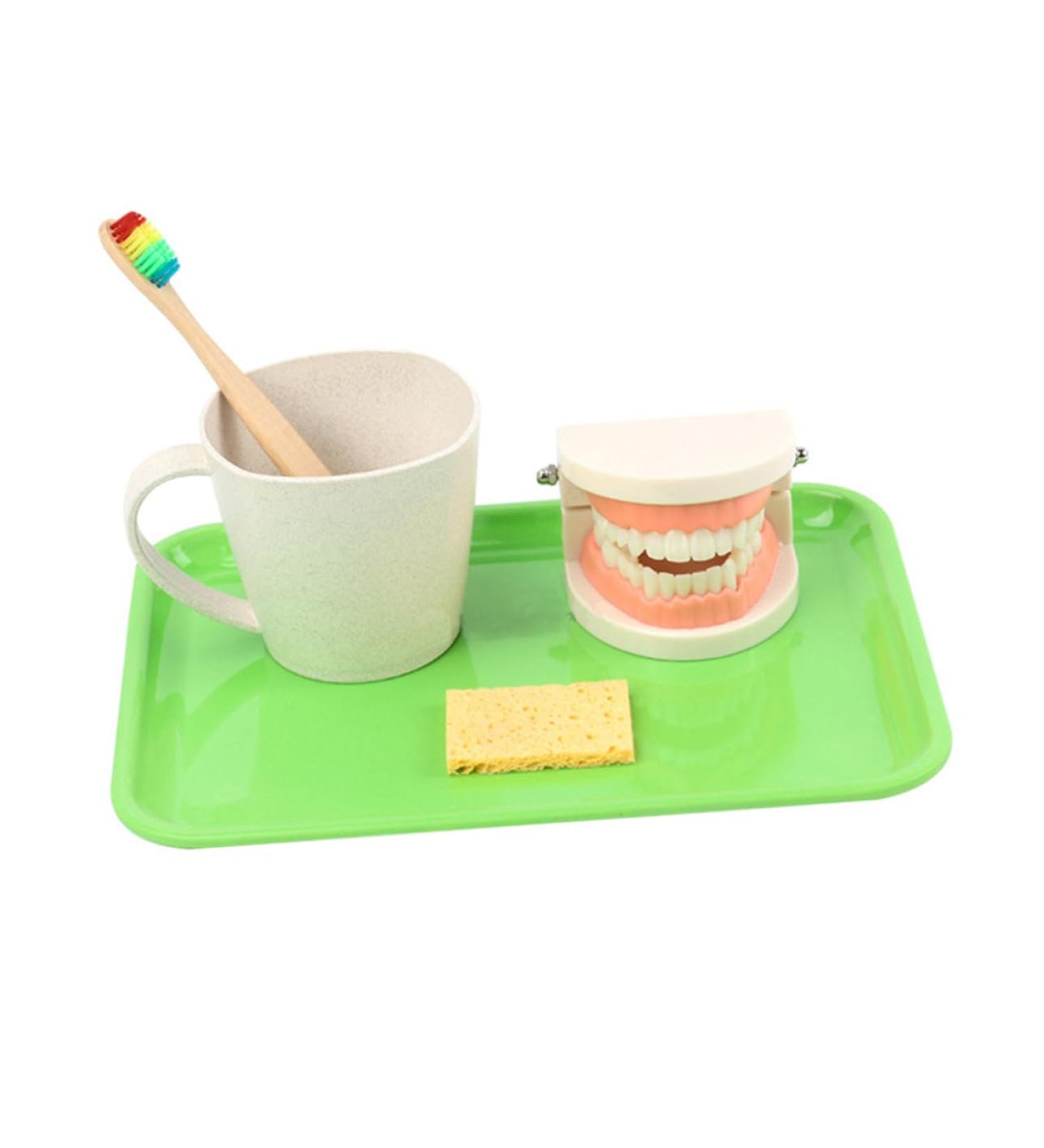 Buy Beavorty Learning Toothbrush Toys for Early Teething | Pedagogical Tooth Cleaning Model for Preschool - Buy Online on SooperMarket.com