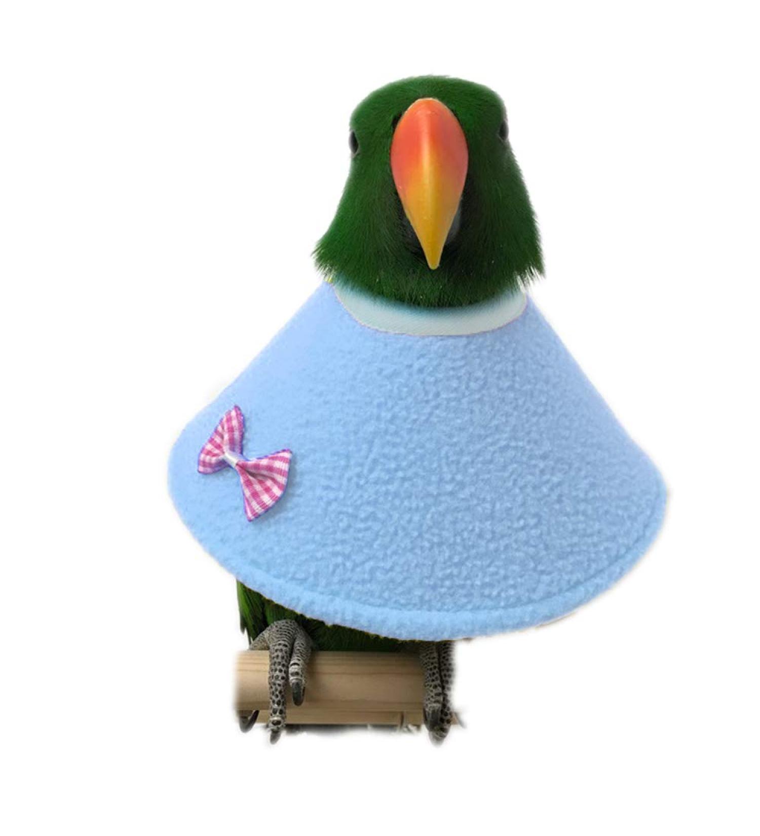 NashaFeiLi Pet Collar Elizabethan Bird Collar Parrot Recovery Collar for Sun Conures Macaws Love Birds (L Blue) L Blue - Buy Online on SooperMarket.com