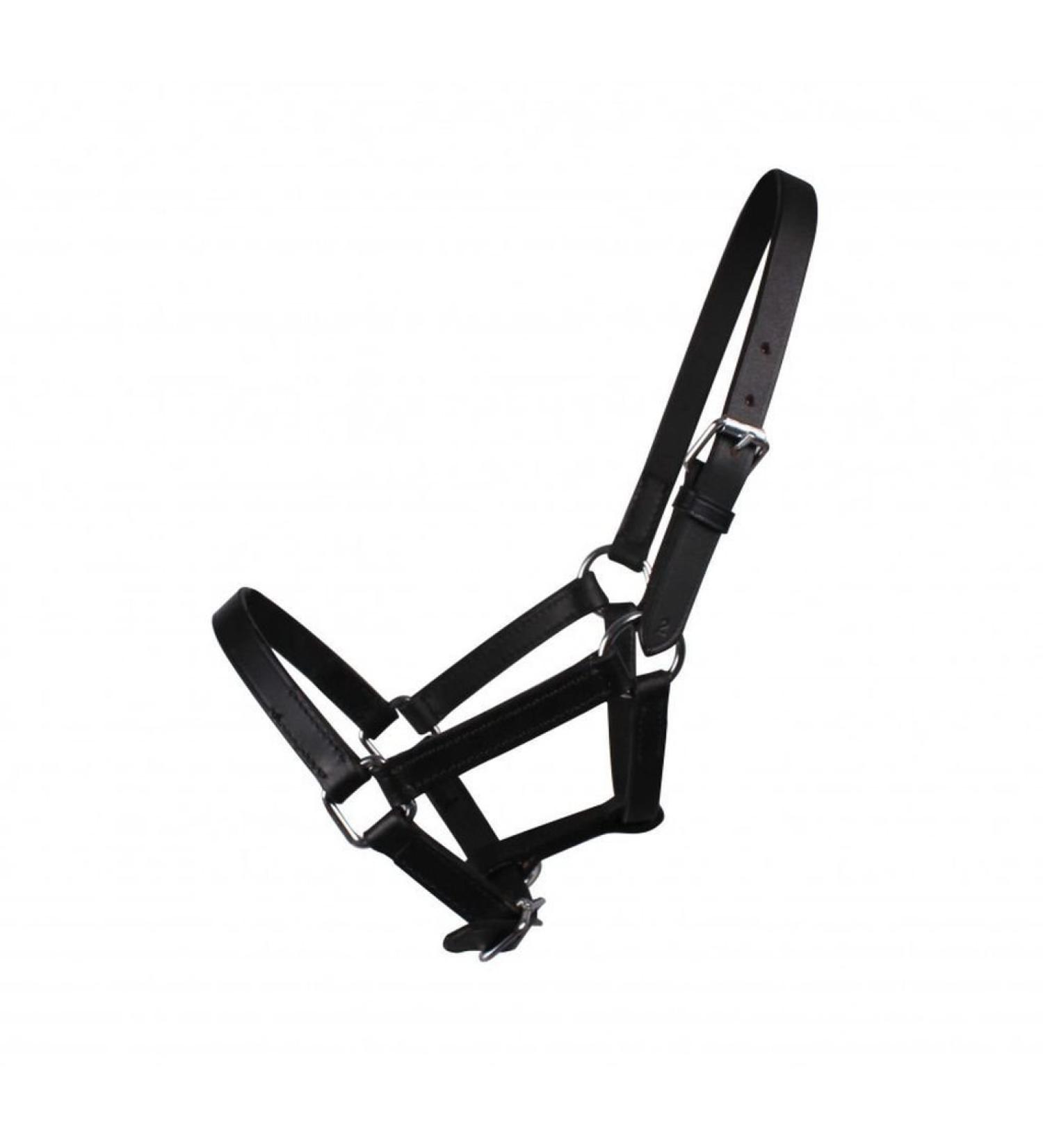 QHP Chico leather halter foal size:1 color:black Minishetland foal black