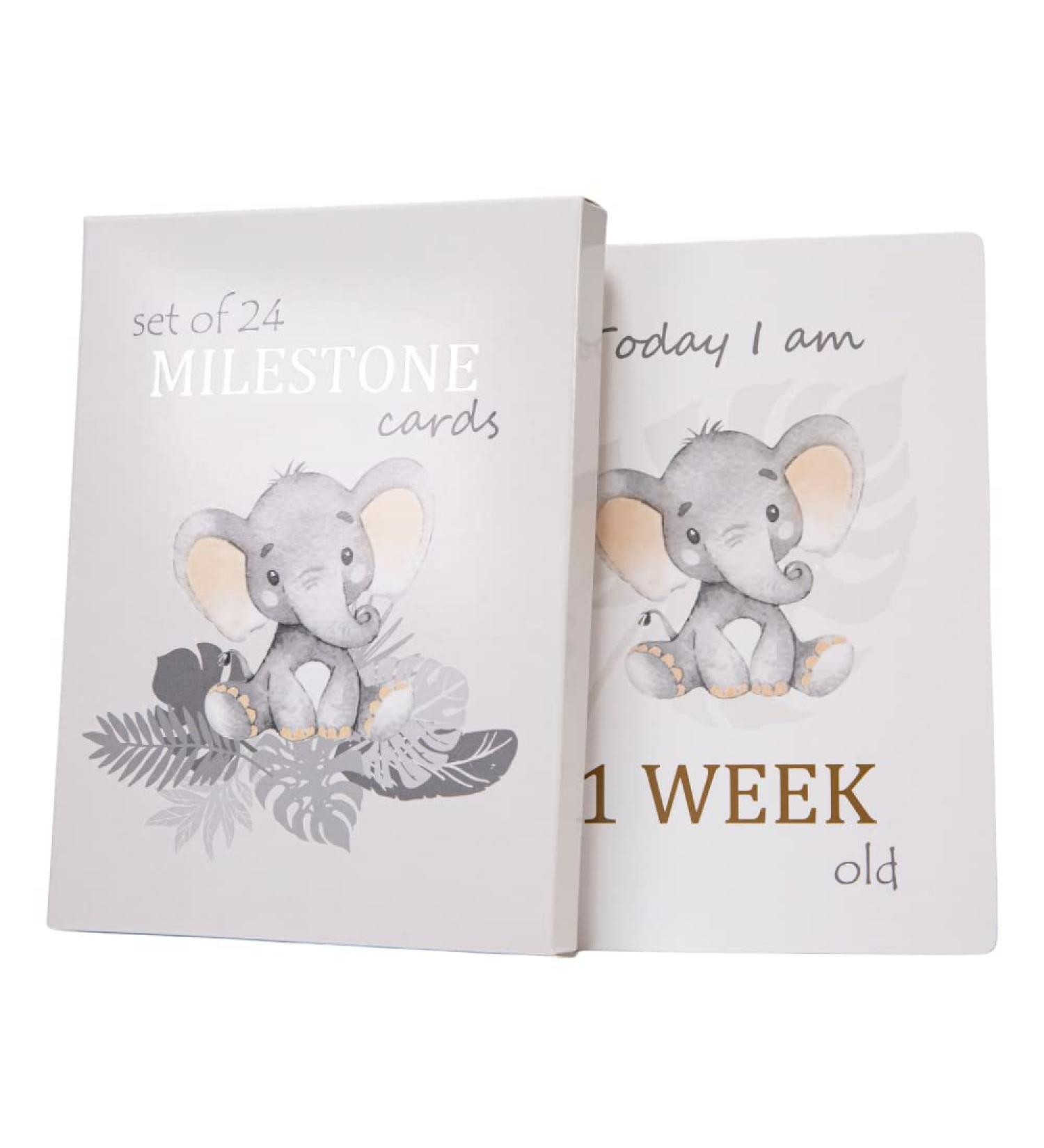Cute Baby Elephant Grey Milestone Cards Set of 24 for Newborns | Perfect Baby Shower Gift Idea - Buy Online on SooperMarket.com