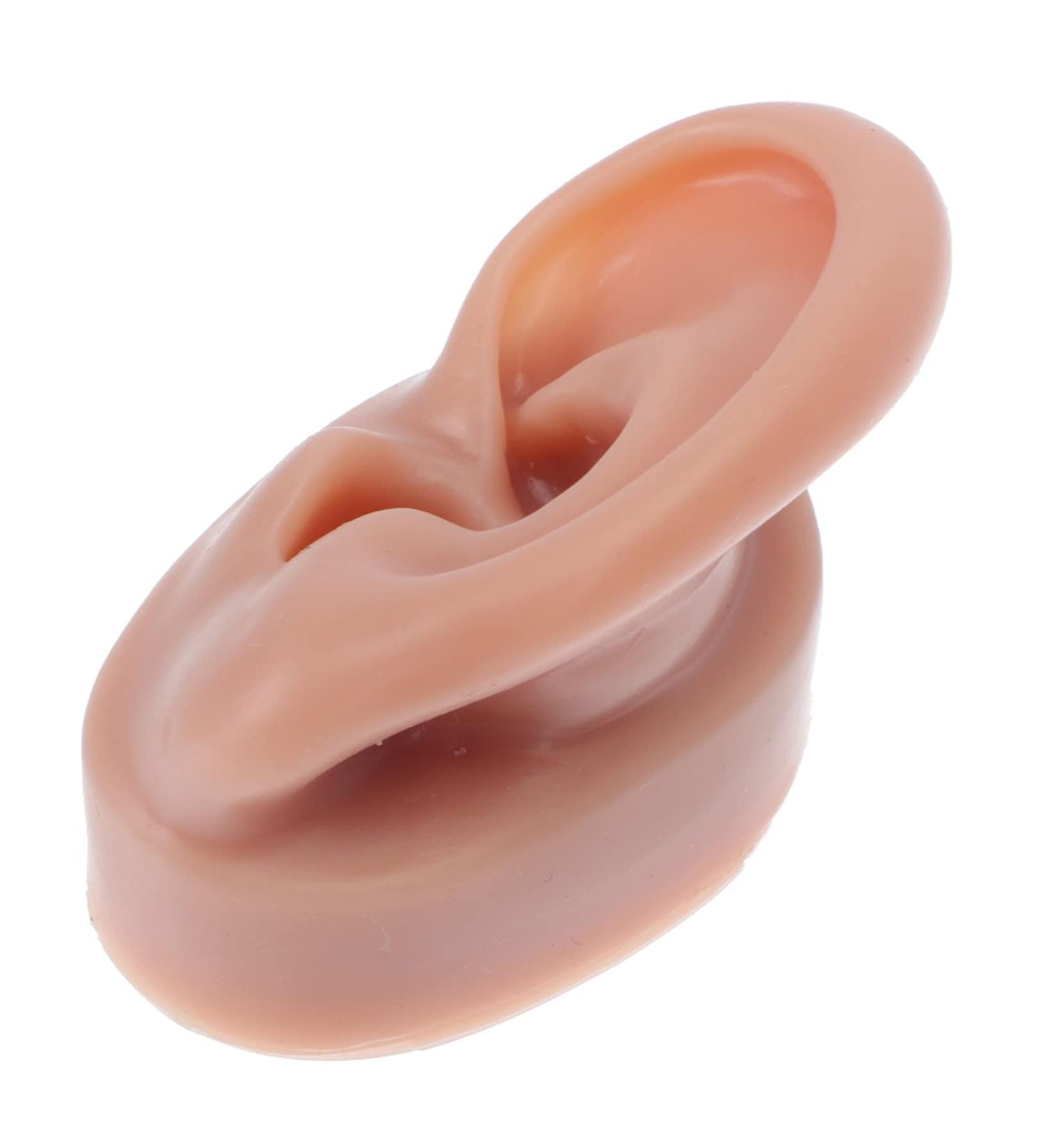FOMIYES Silicone Human Ear Model for Piercing Teaching Display - Coffee 6.5x3.5cm - Buy Online on SooperMarket.com