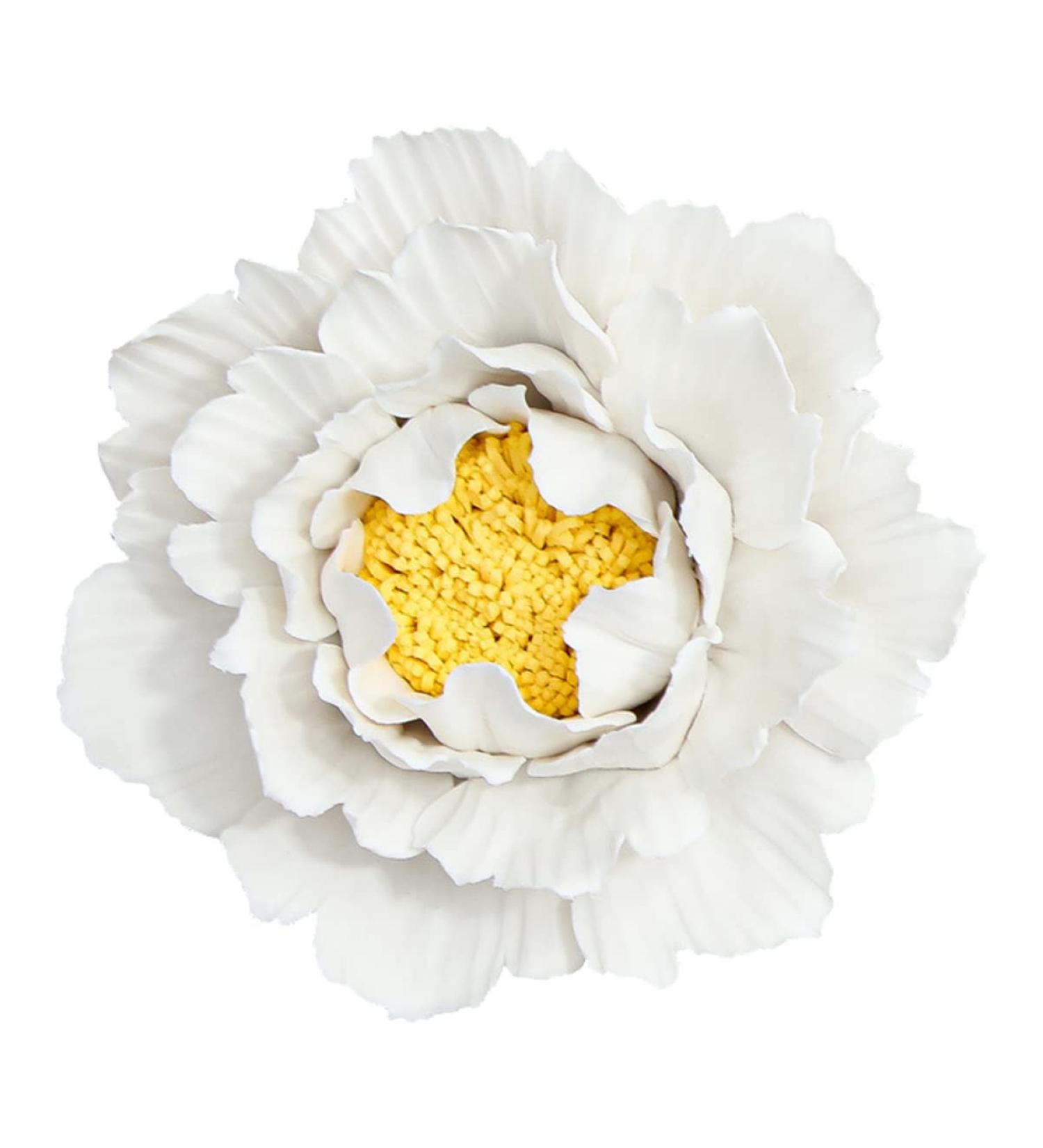 ORFOFE Wall Flower Sculpture 1Pc peony flower wall decoration home decoration Ceramic wall art Ceramic Flower Flower Wall White 7x7cm - Buy Online on SooperMarket.com