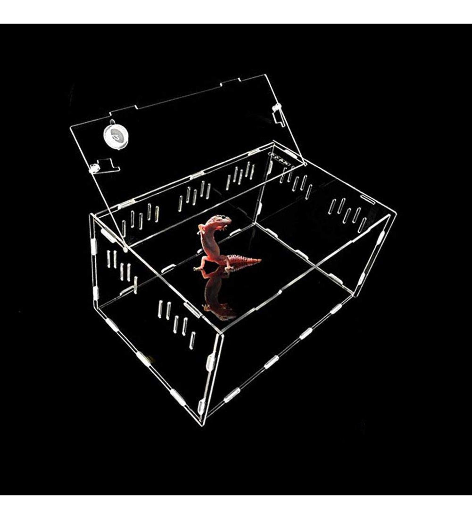 OMEM Transparent Acrylic Pet Reptile Combination Breeding Box - Ideal for Spiders, Scorpions, Snakes - Durable & Spacious - Buy Online on SooperMarket.com