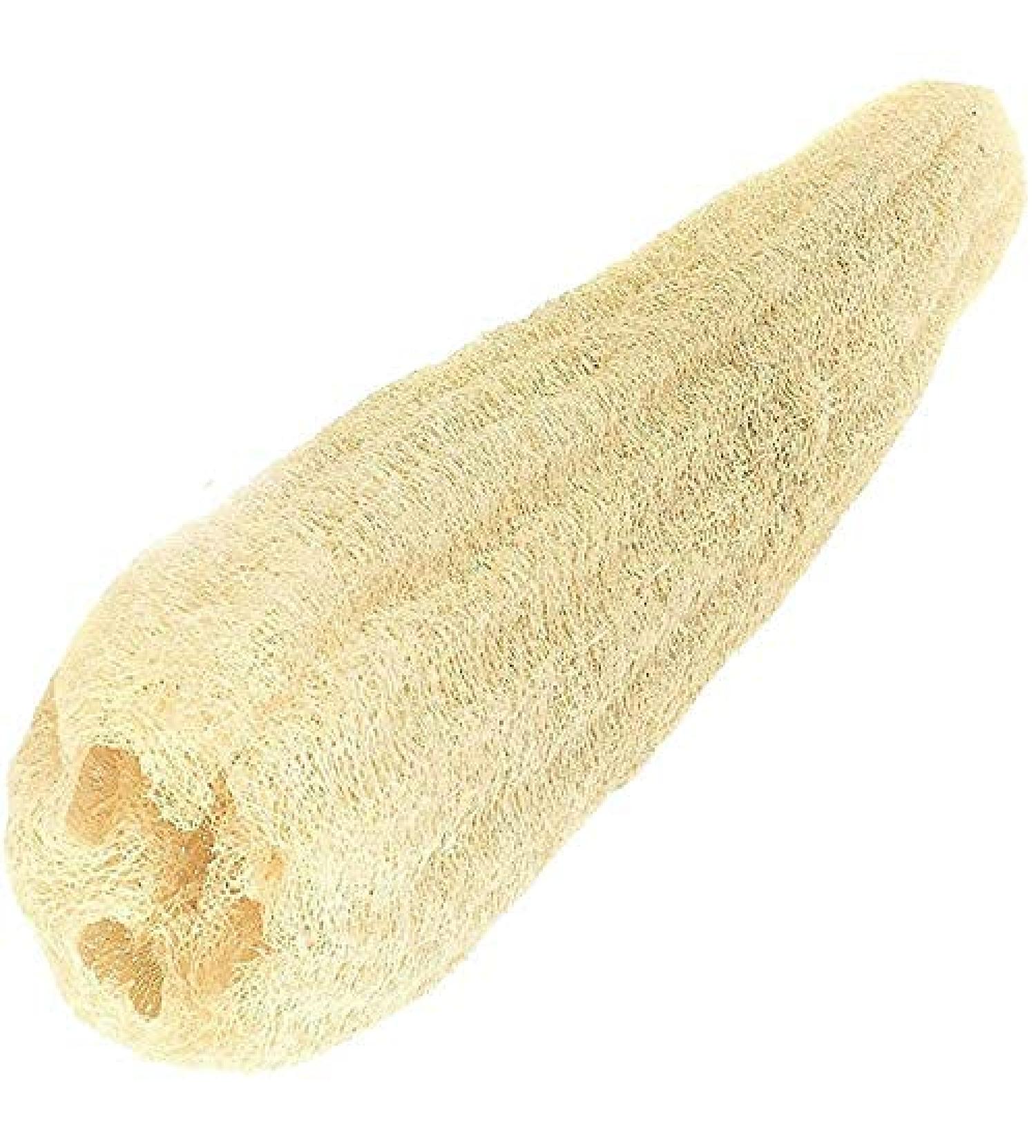 NileCart Natural Organic Egyptian Loofah Sponges - Large Exfoliating Shower Body Scrubber for Radiant Skin - 22 Inch - Pack of 1 - Buy Online on SooperMarket.com