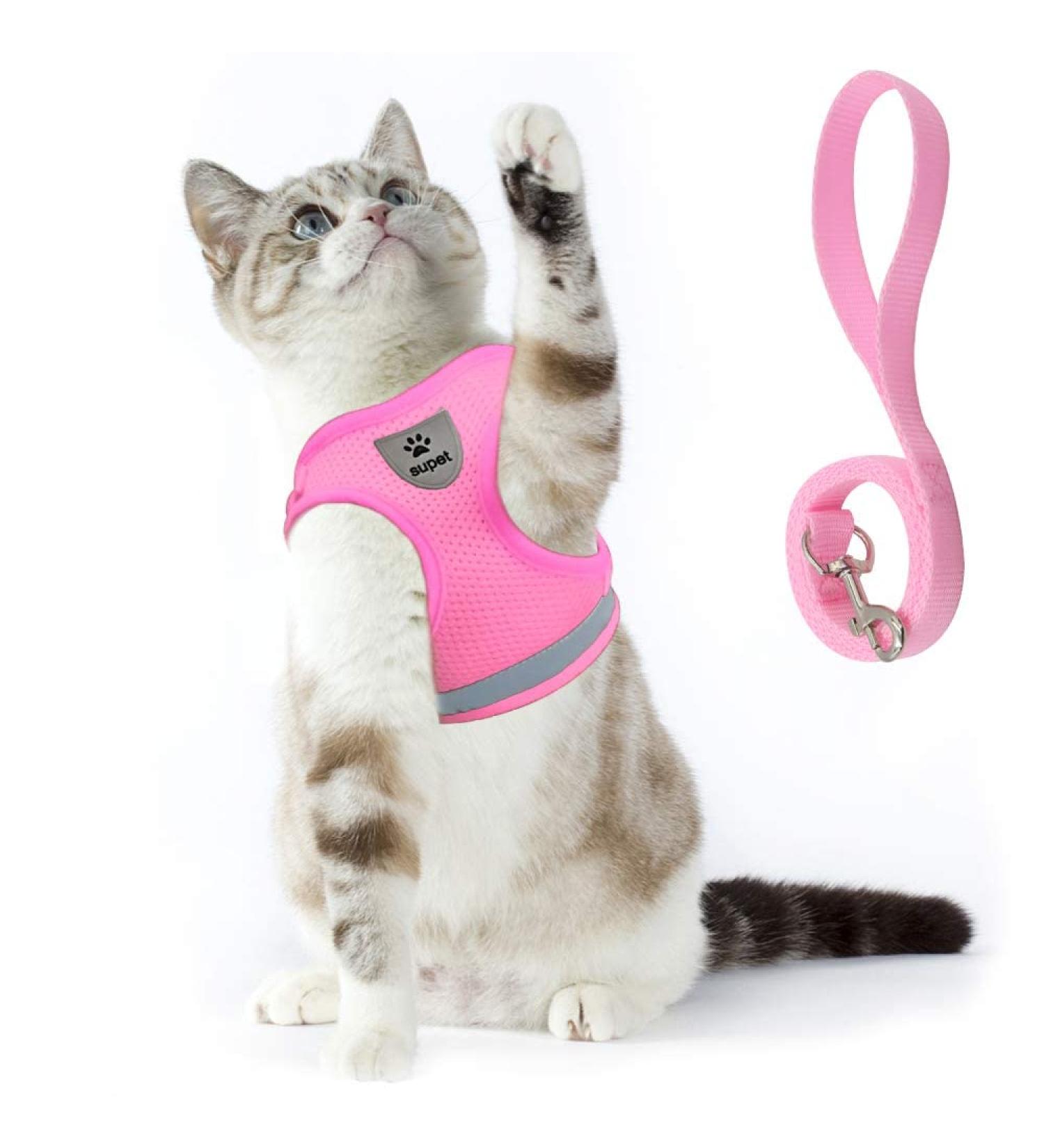 Supet Cat Dishes & Breaking-Safe Leash - Soft Vest for Kittens & Small Dogs (Chihuahua) - Pink Size L (Chest 38-43 cm) - Buy Online on SooperMarket.com
