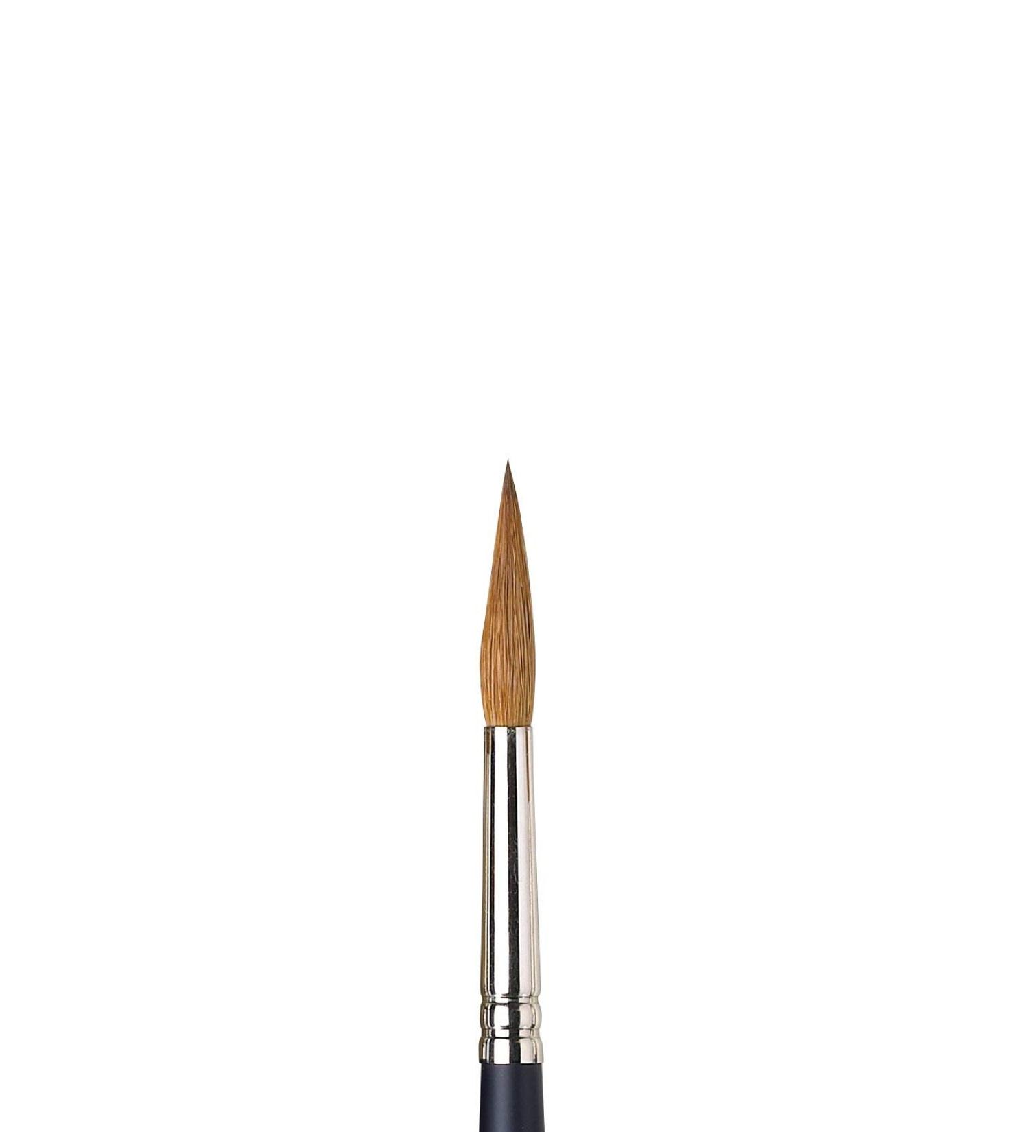 Winsor & Newton Watercolor Sable Brush #8 - Professional Pointed Round Brush - Buy Online on SooperMarket.com
