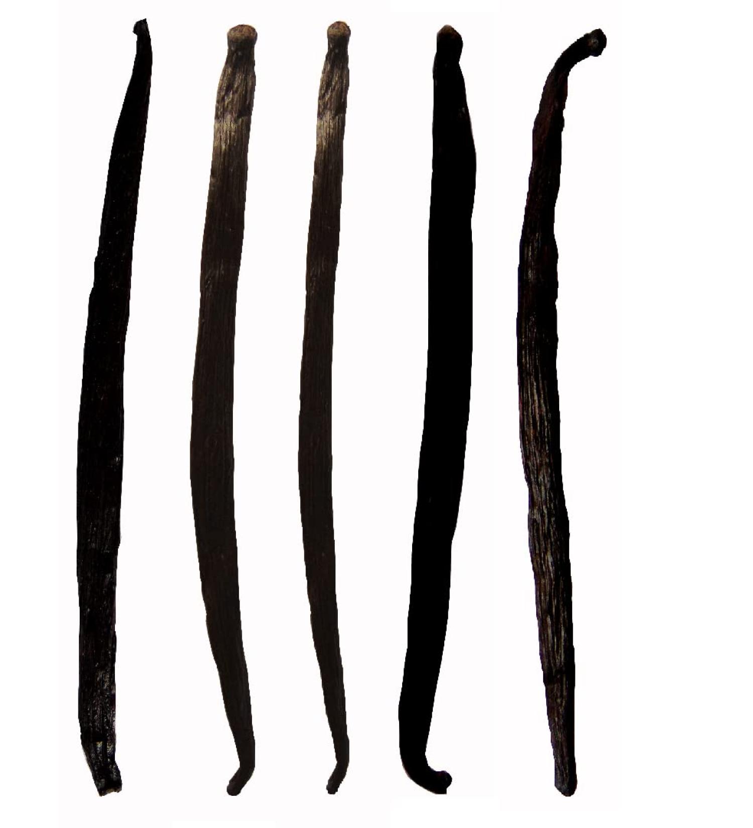 Royal Brand Grade A Vanilla Bourbon Madagascar Pods - 5 Pods, 15-20cm Long - Buy Online on SooperMarket.com
