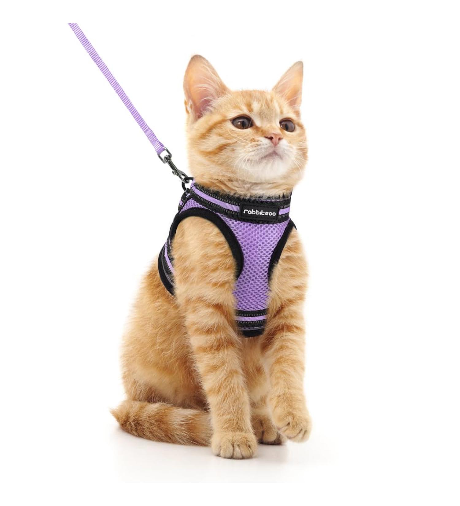 Rabbitgoo Cat Dishes Set - Stylish Cat Linen with Leash | Perfect for Cats | International Shipping - Buy Online on SooperMarket.com