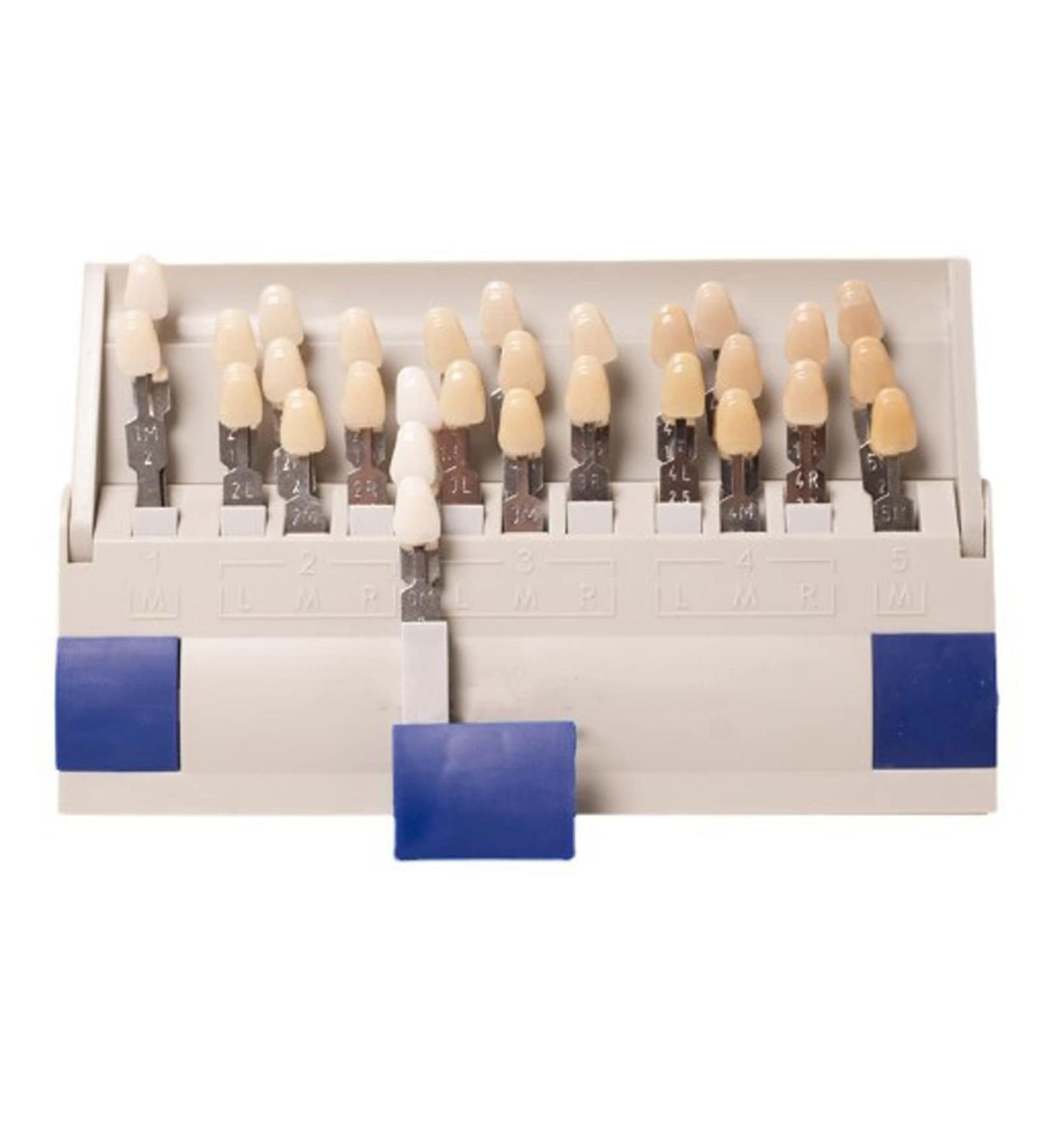 29 Color Porcelain Tooth Whitening Color Keys - Removable Tooth Elevation Table for Accurate Shade Matching - Buy Online on SooperMarket.com