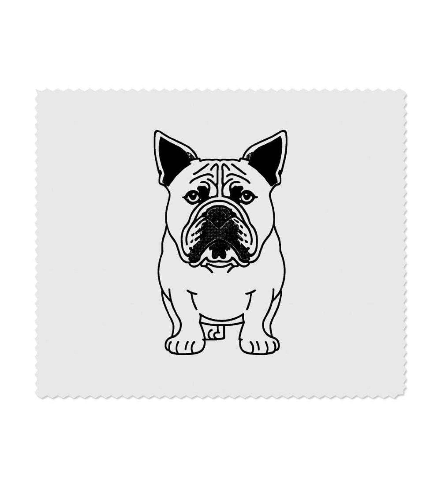 Buy 2 x English Bull Dog Microfiber Cleaning Cloths - Ultra-Absorbent & Durable | International Shipping Available - Buy Online on SooperMarket.com