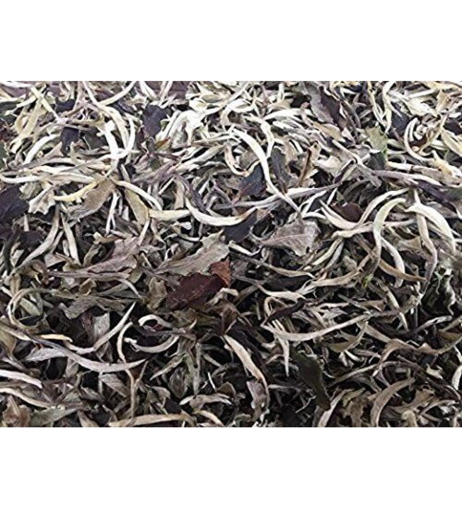 white tea premium grade loose leaf bag packing total 1 Pound (454 g).