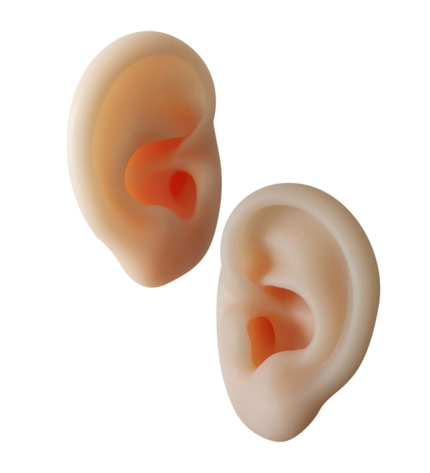Silicone Ear Models for Practice - 1 Pair Ear Picking & Display Samples - Buy Online on SooperMarket.com