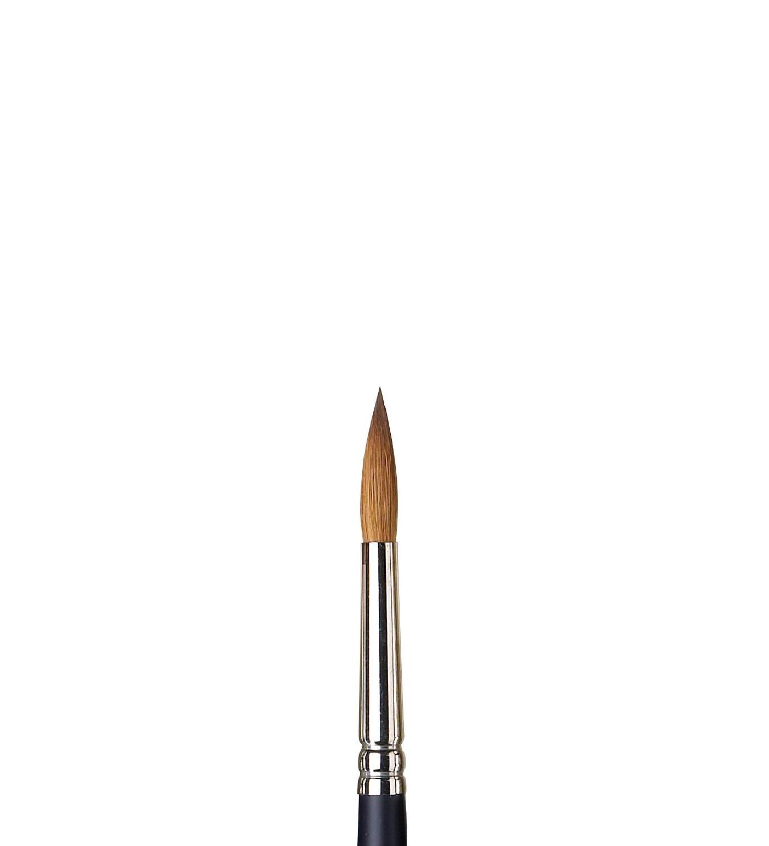 Winsor & Newton Professional Watercolor Sable Brush-Round #8 | Fine Point Artist Brush - Buy Online on SooperMarket.com