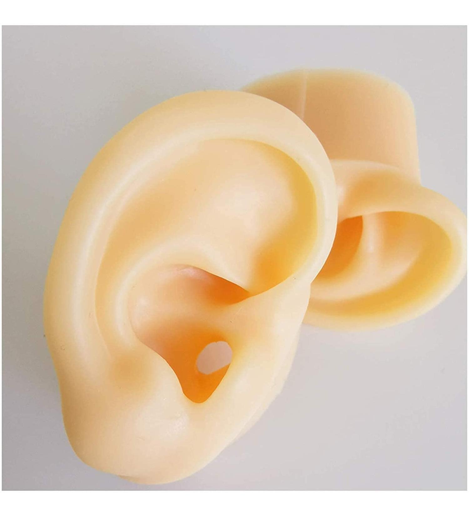 Medical Teaching Template Template Silicone Ear Template for Acupuncture - Size of Life Human Ear Model Lifeelike Artificial Ear Model - Buy Online on SooperMarket.com