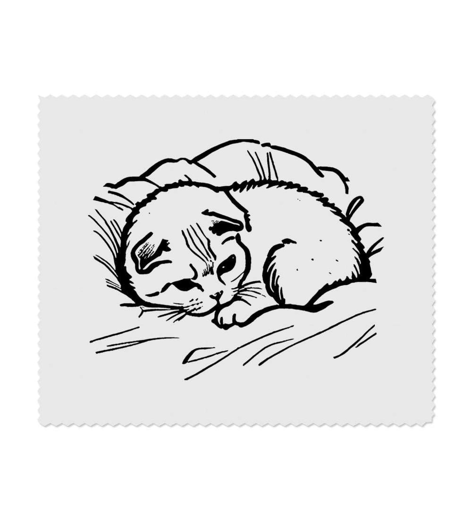 Buy 2 x Scottish Fold Cat Microfiber Cleaning Cloths | Ultra-Absorbent & Durable | International Shipping Available - Buy Online on SooperMarket.com