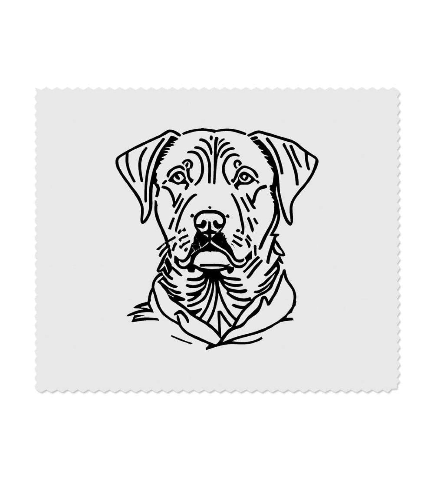 Buy 2 x Sleepy Labrador Microfiber Cleaning Cloths - International Shipping Available - Buy Online on SooperMarket.com
