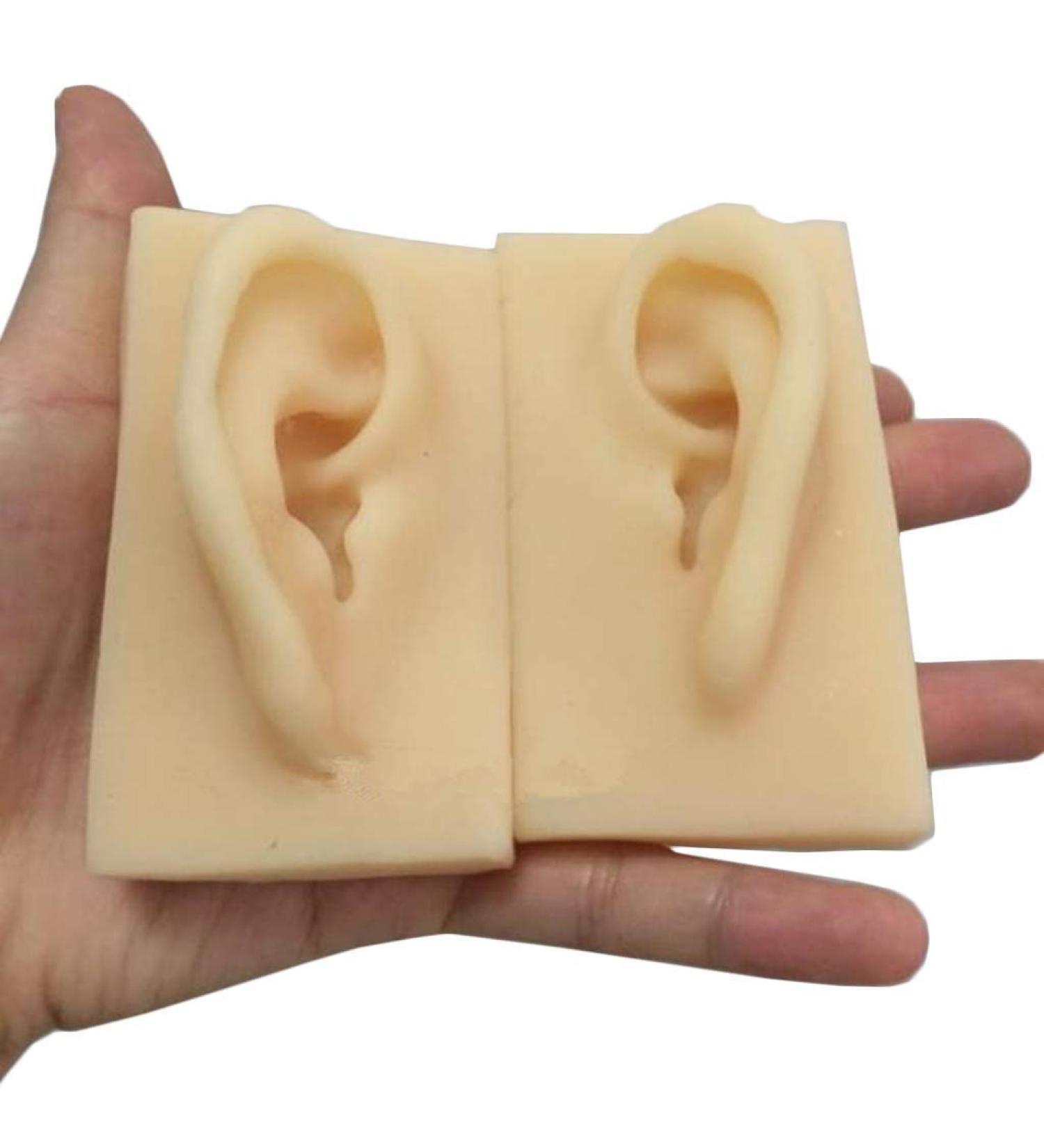 Human Ear Model Flexible Soft Silicone Imitation Real Ear Teaching Model -1 Pair Ear Mold Artificial Display Sample Educational Resources in Scienc - Buy Online on SooperMarket.com