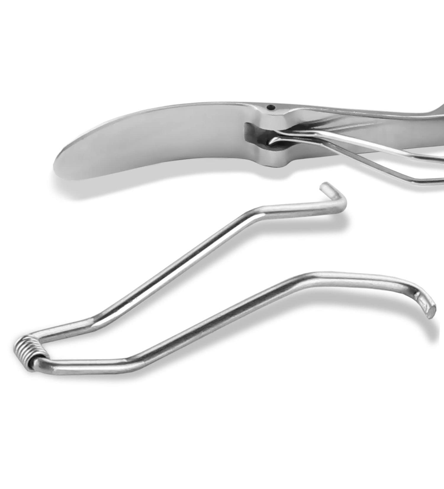 Stainless Steel Foot Nail Tongs Spare Spring - Replacement Wire Spring for 11-13 cm Nail Tongs | Essential Foot Care Accessory - Buy Online on SooperMarket.com