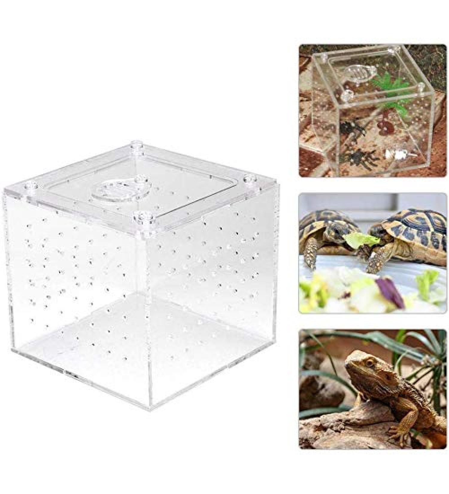 Acrylic Reptile Breeding Box Transparent Live Food Storage Insect Viewing Box for Spider Crickets Snails Hermit Crabs Tarantulas Geckos 3.9x3.9x3.5inch - Buy Online on SooperMarket.com
